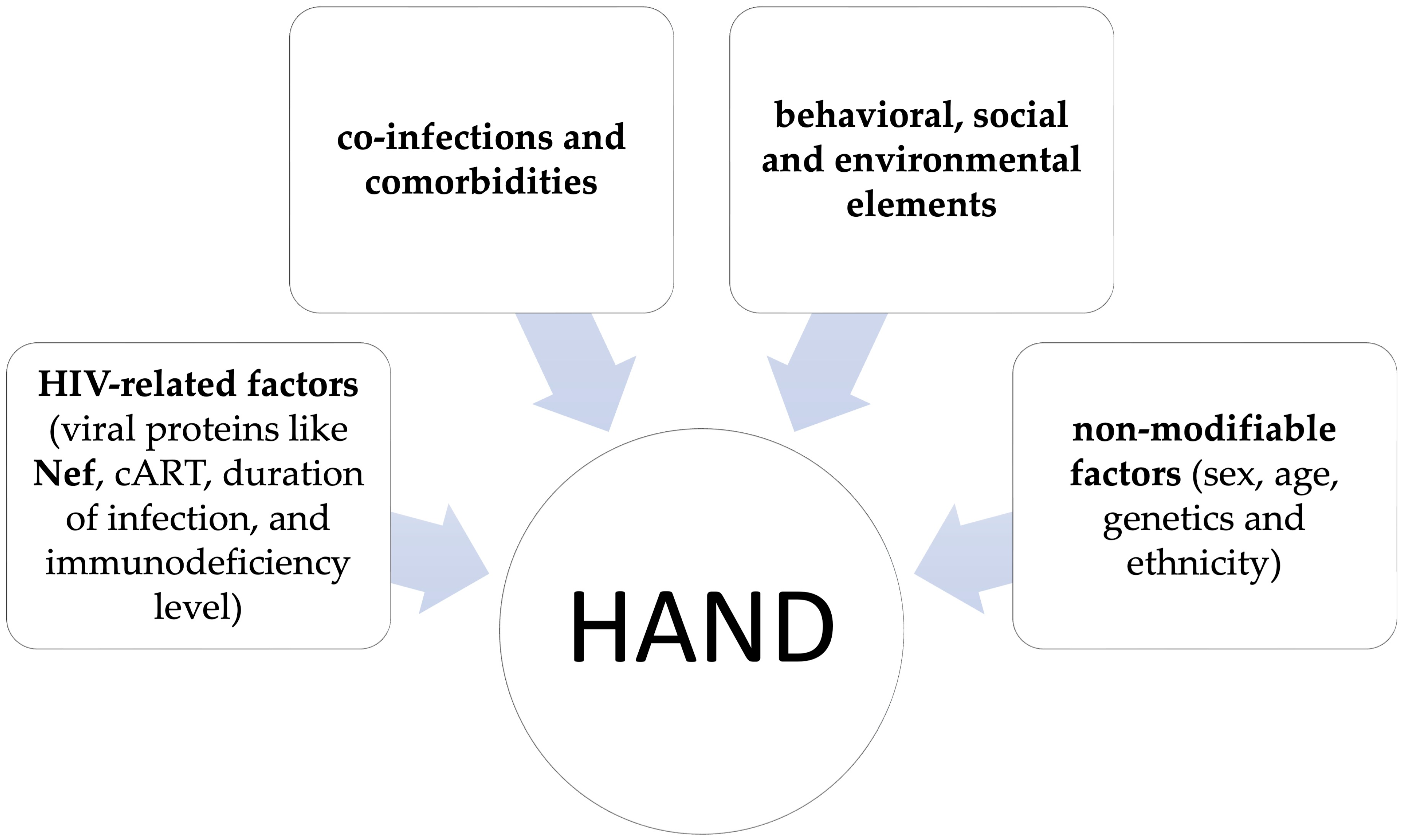 Brainsci 15 00987 g001 Brainsci 15 00987 g001