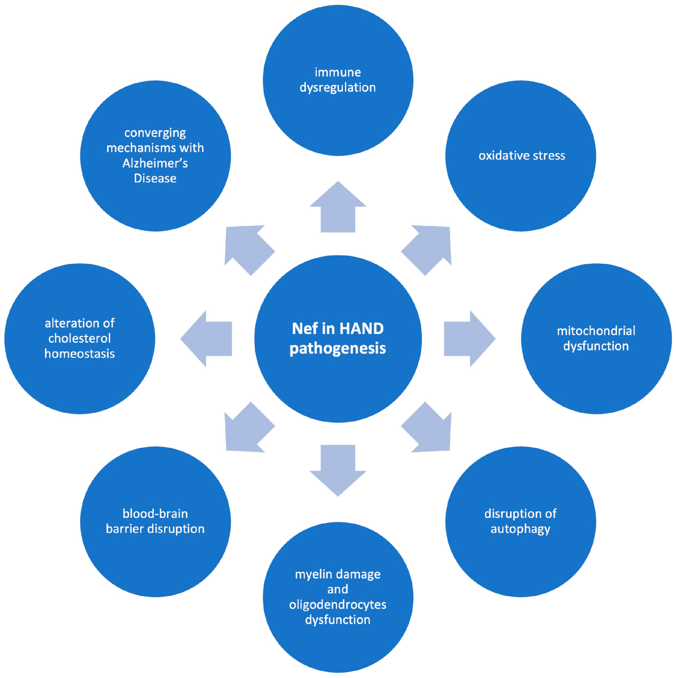 Brainsci 15 00987 g002 Brainsci 15 00987 g002