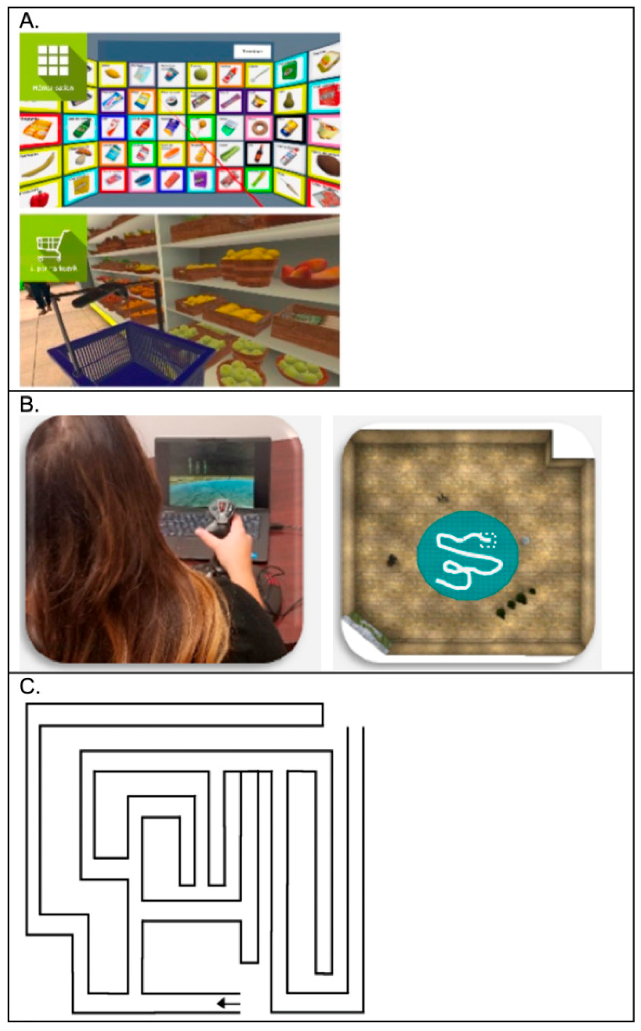 Brainsci 15 01002 g001 Brainsci 15 01002 g001