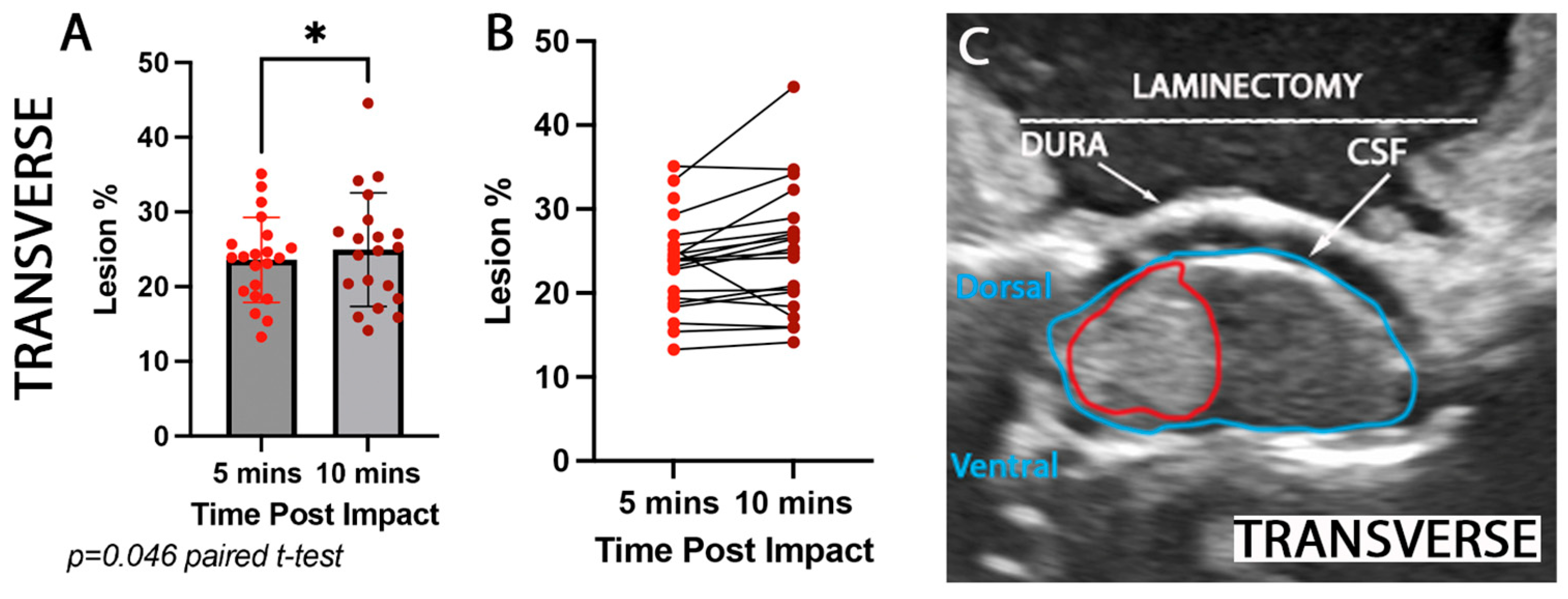 Brainsci 15 01005 g004