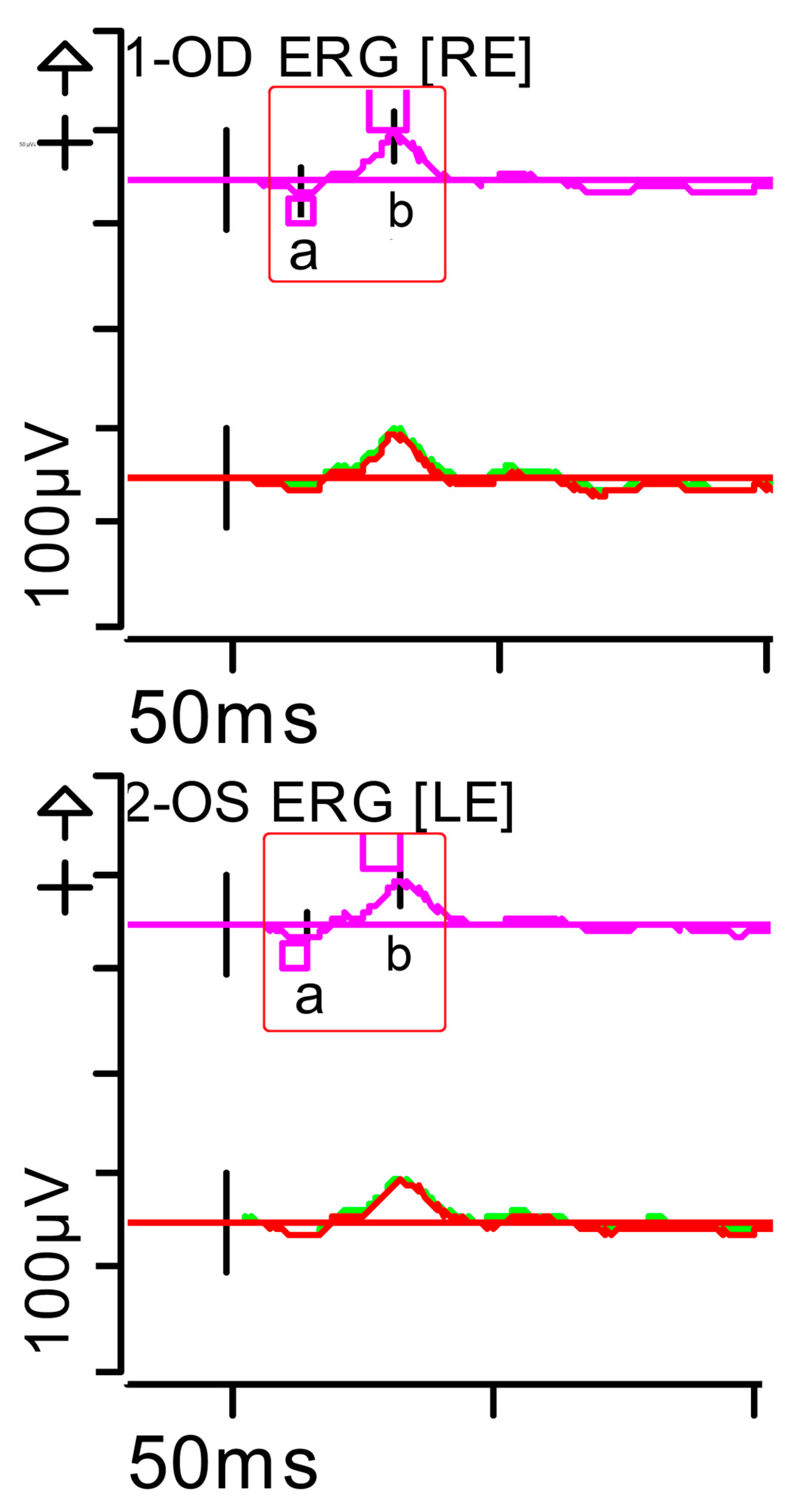 Brainsci 15 01019 g002