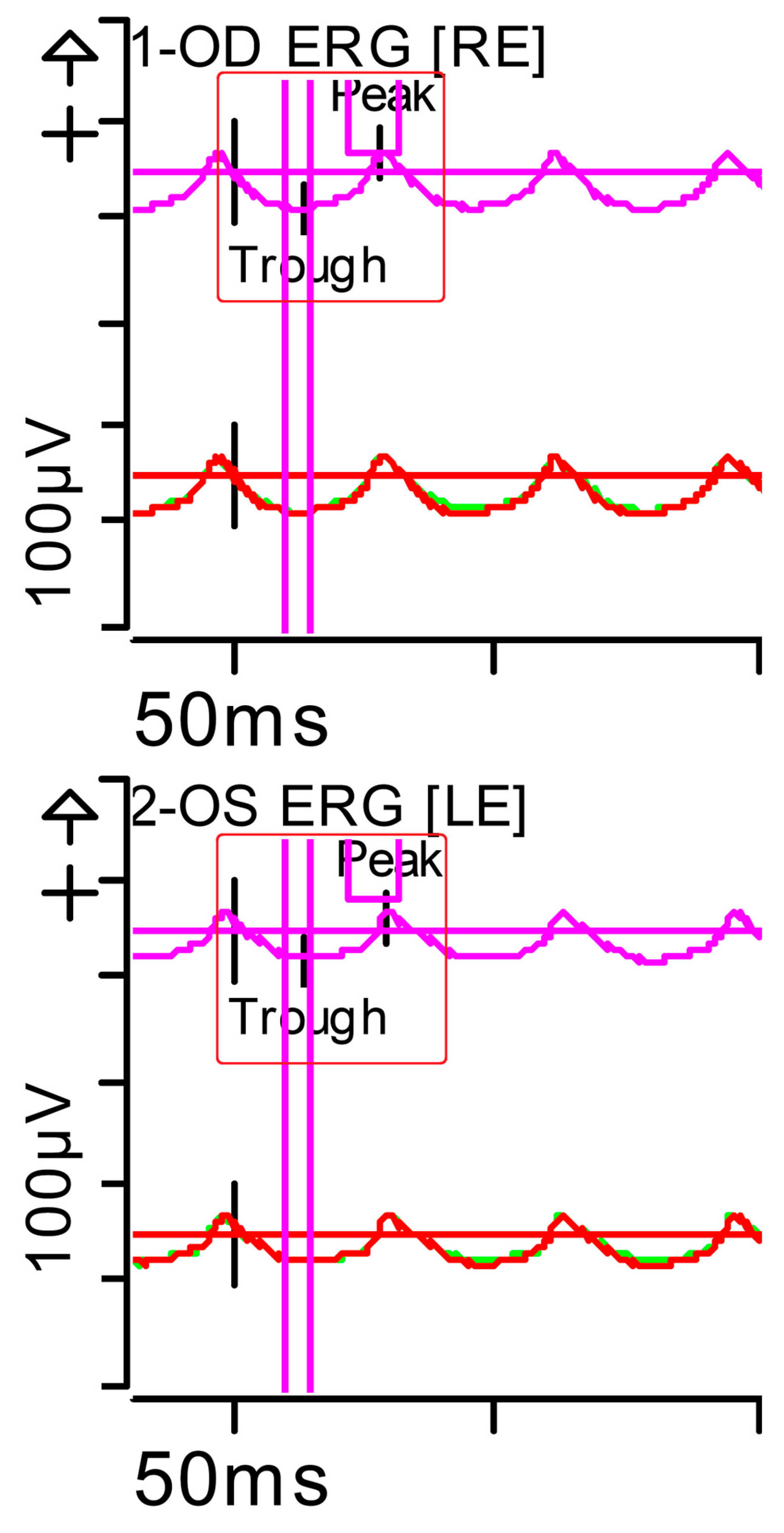 Brainsci 15 01019 g003