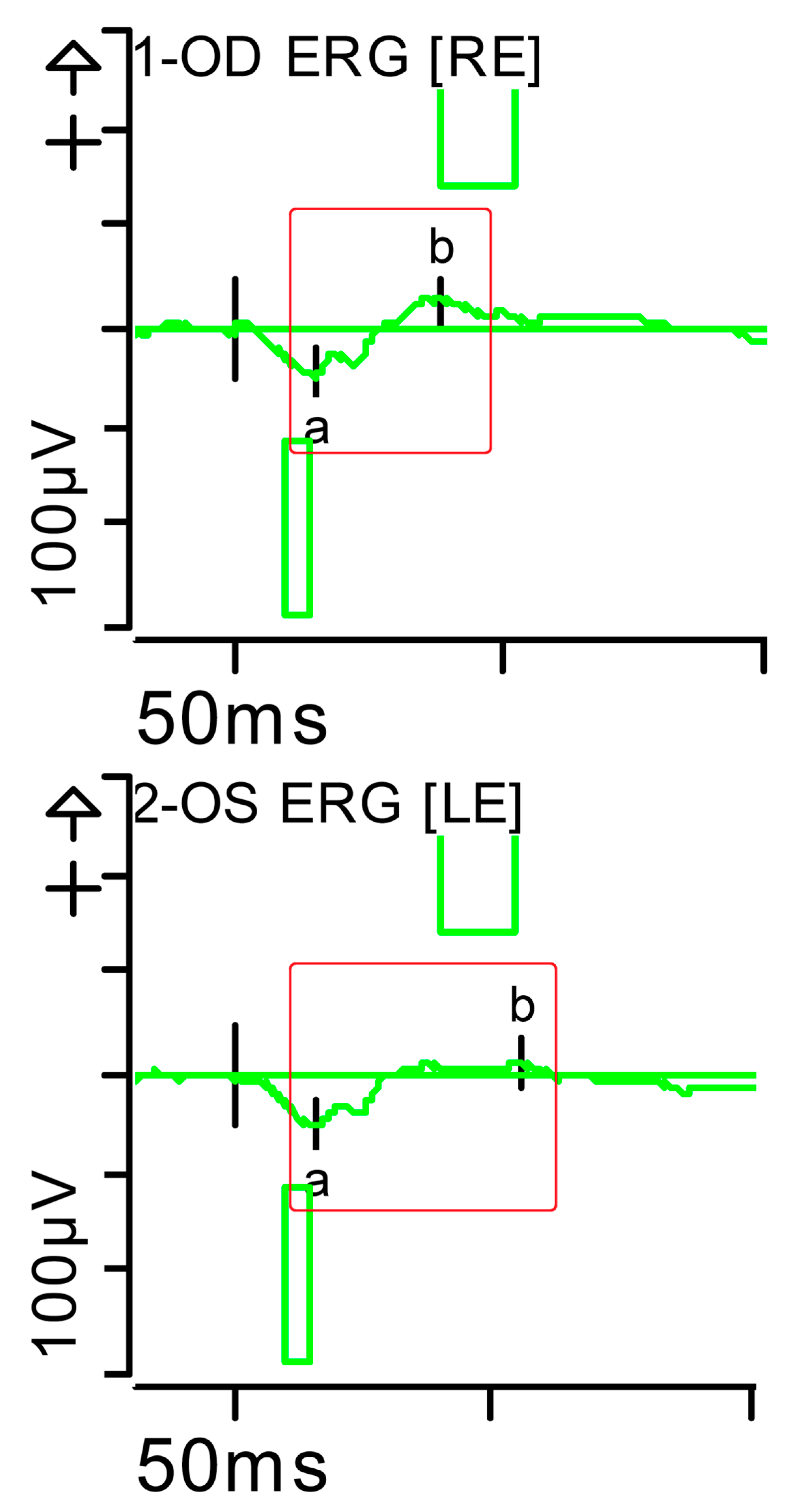 Brainsci 15 01019 g006