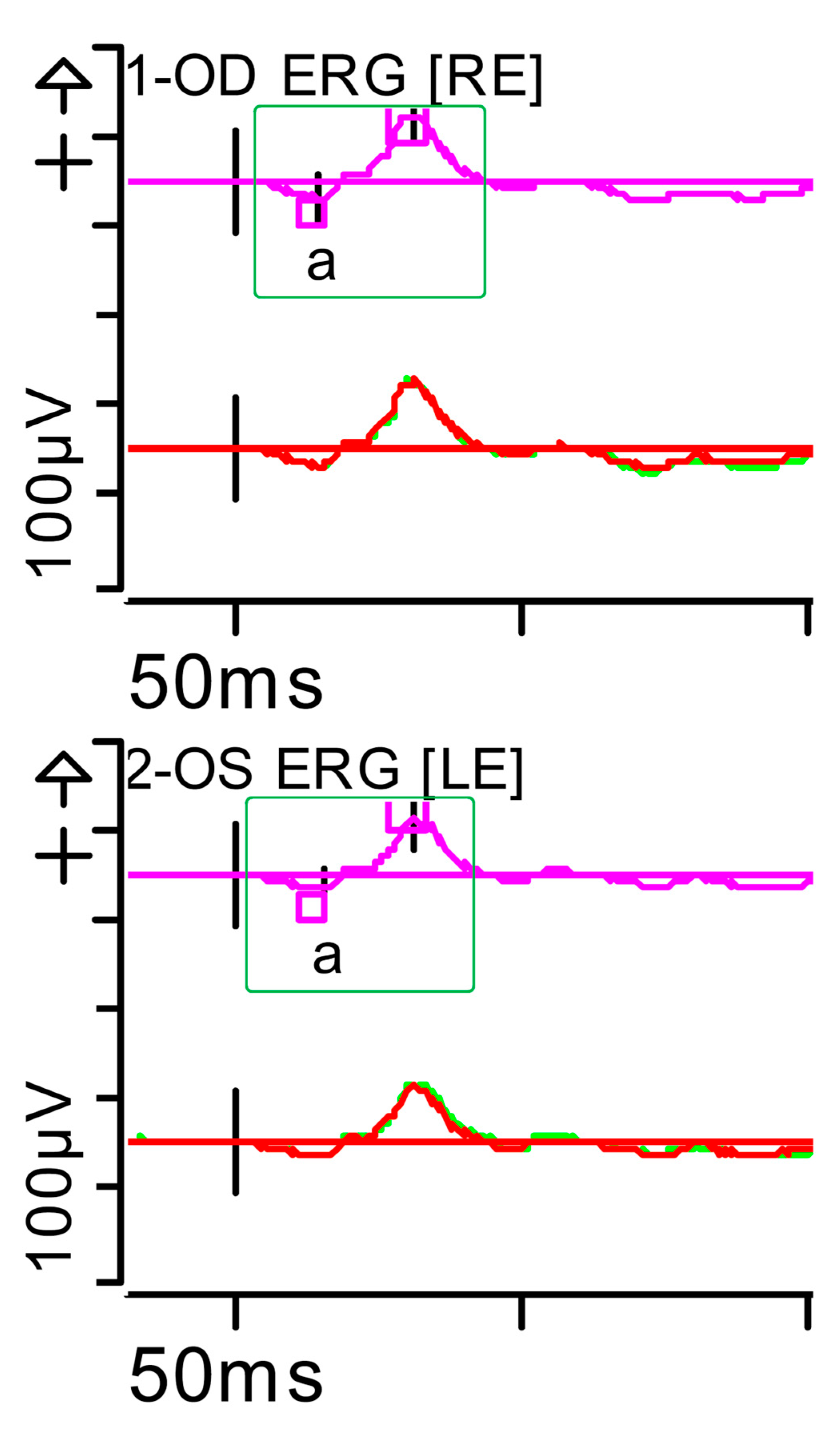 Brainsci 15 01019 g008