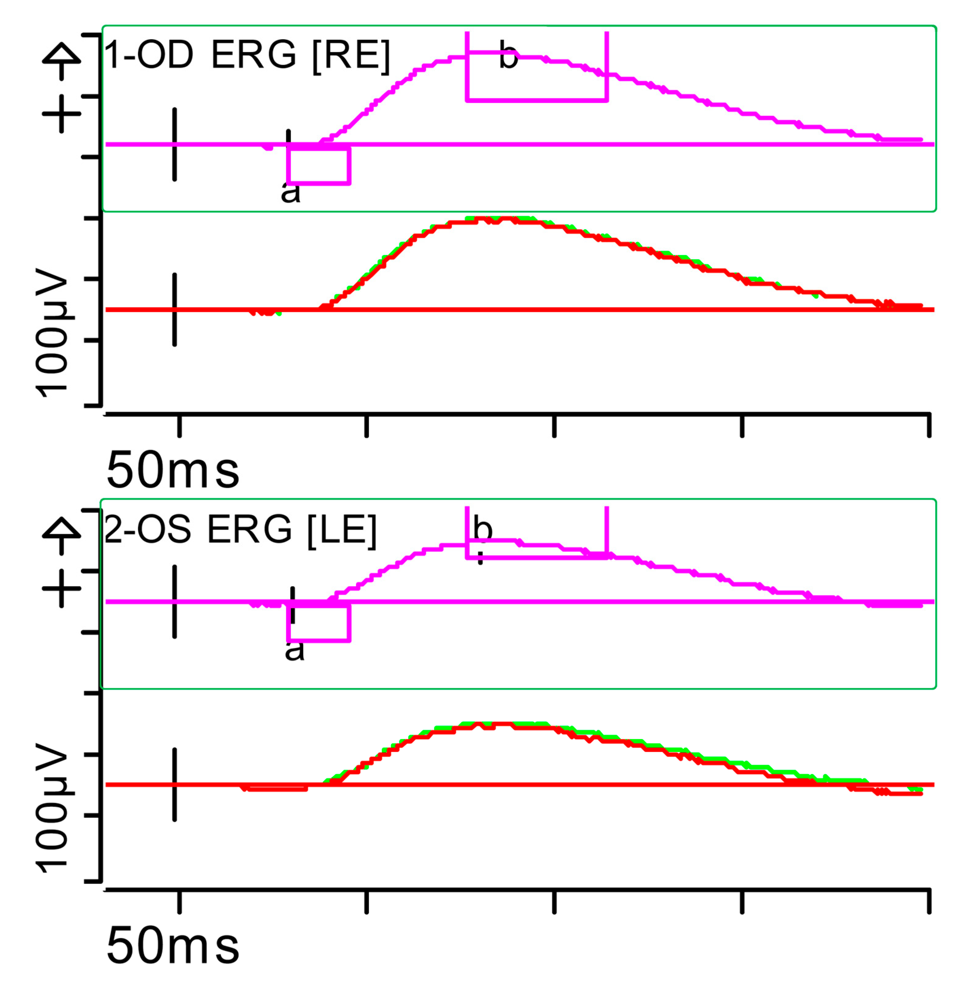 Brainsci 15 01019 g010