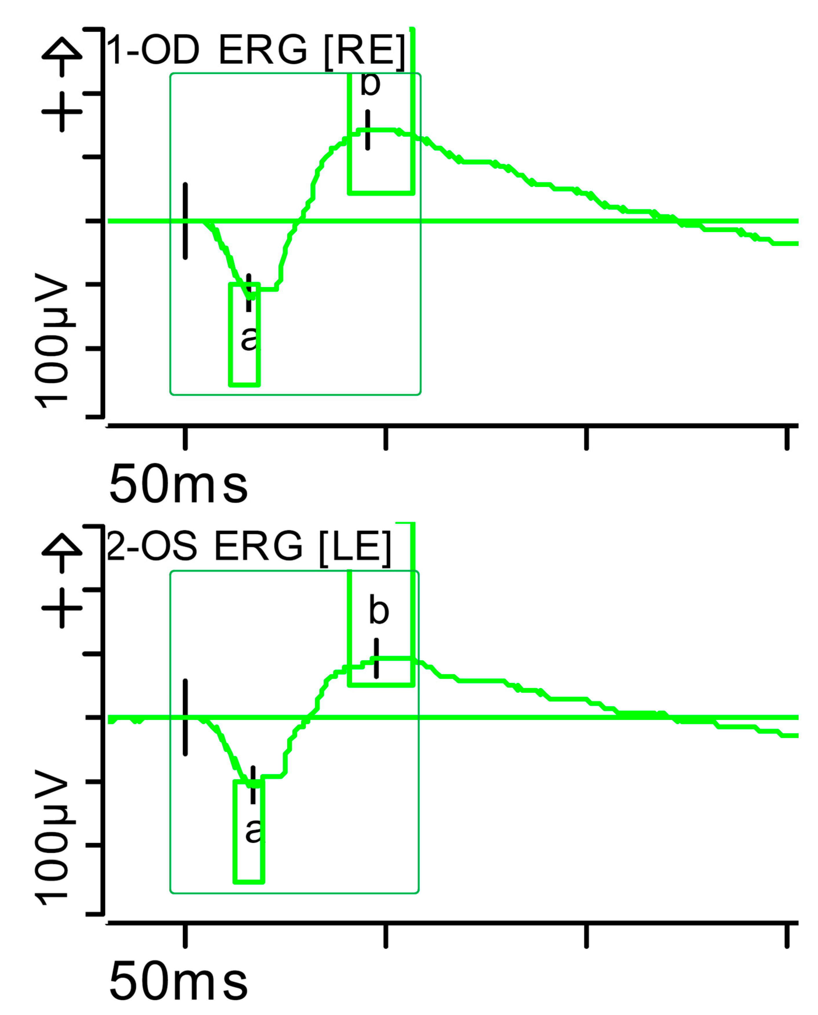 Brainsci 15 01019 g011