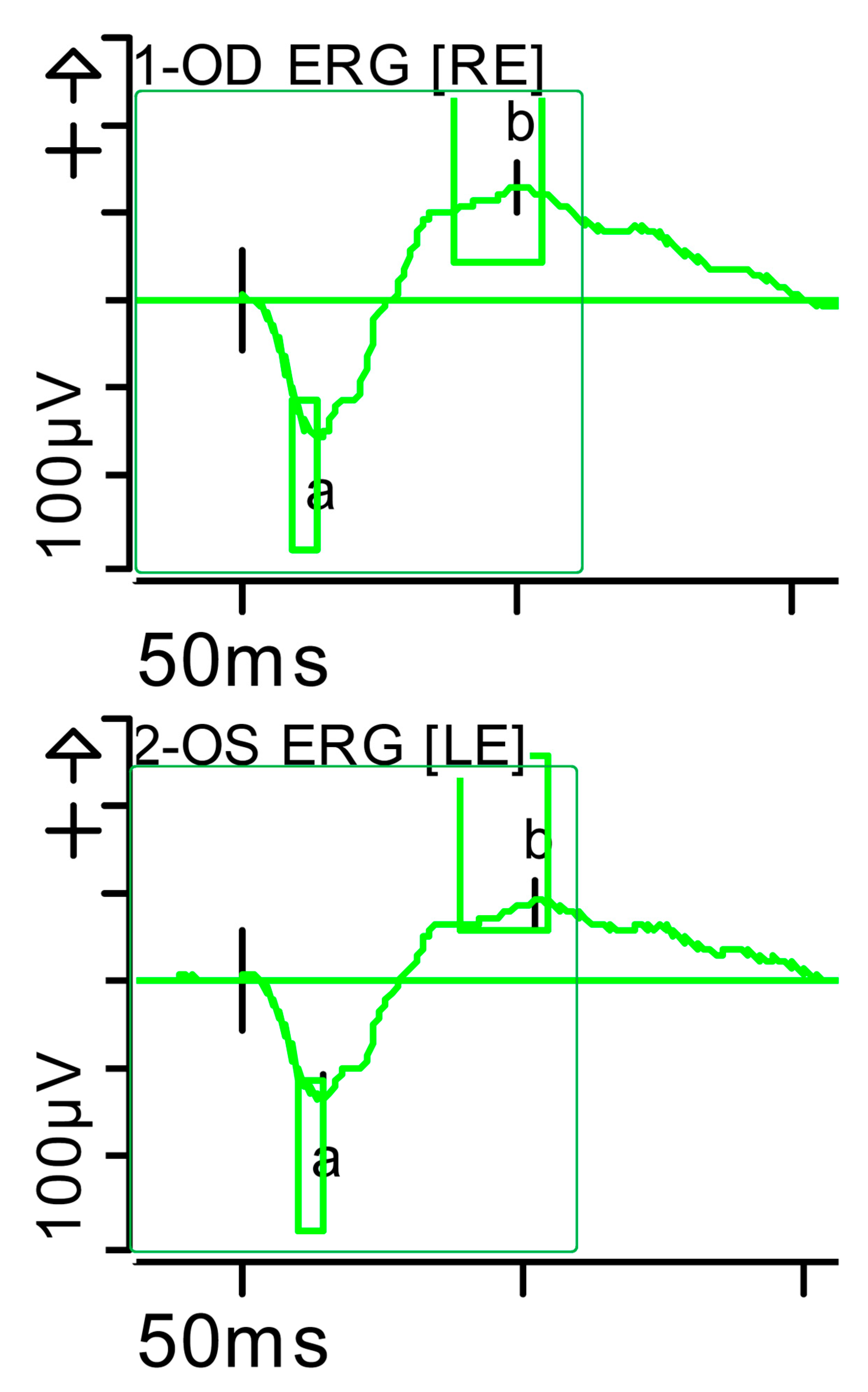 Brainsci 15 01019 g012