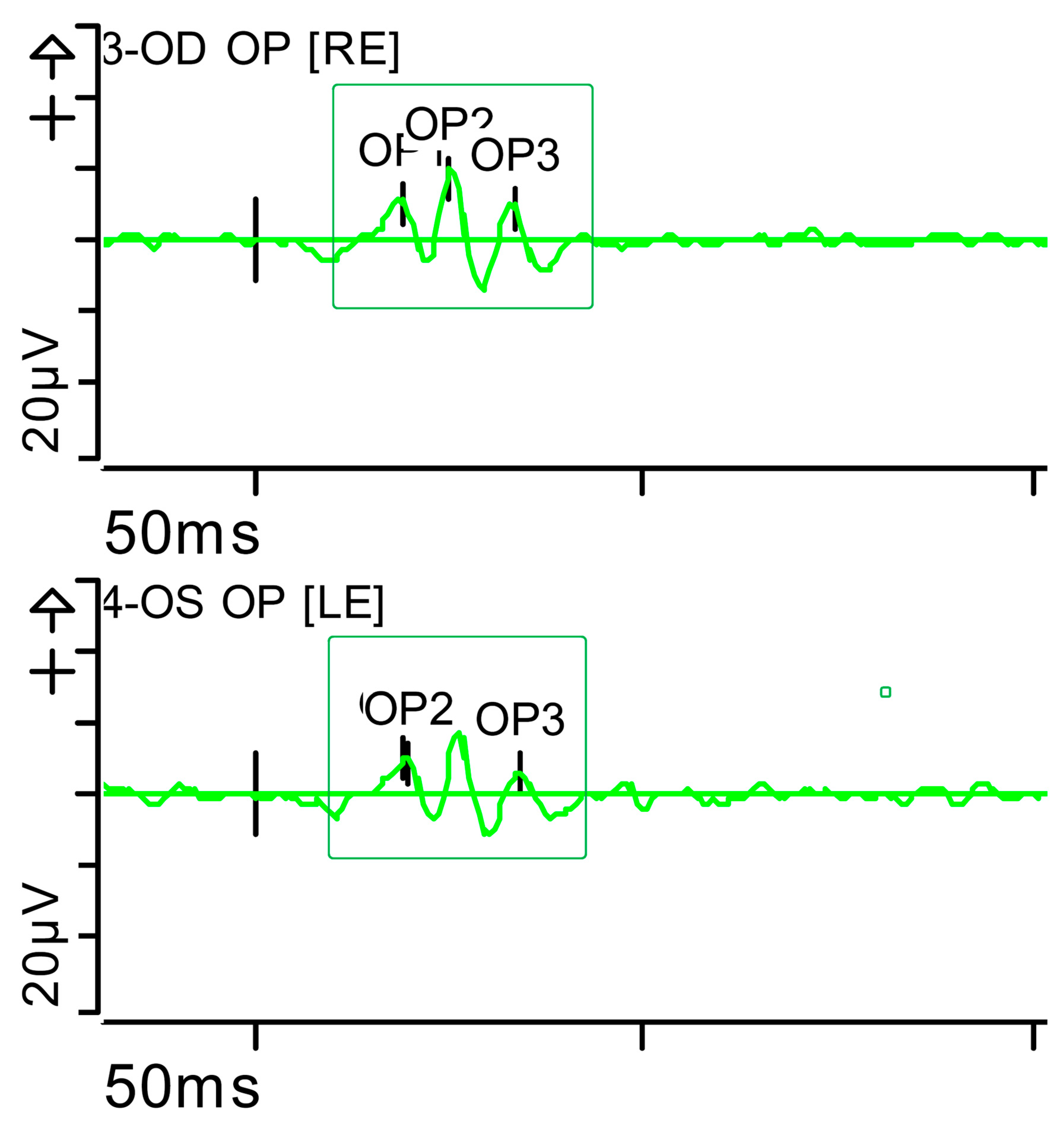 Brainsci 15 01019 g013