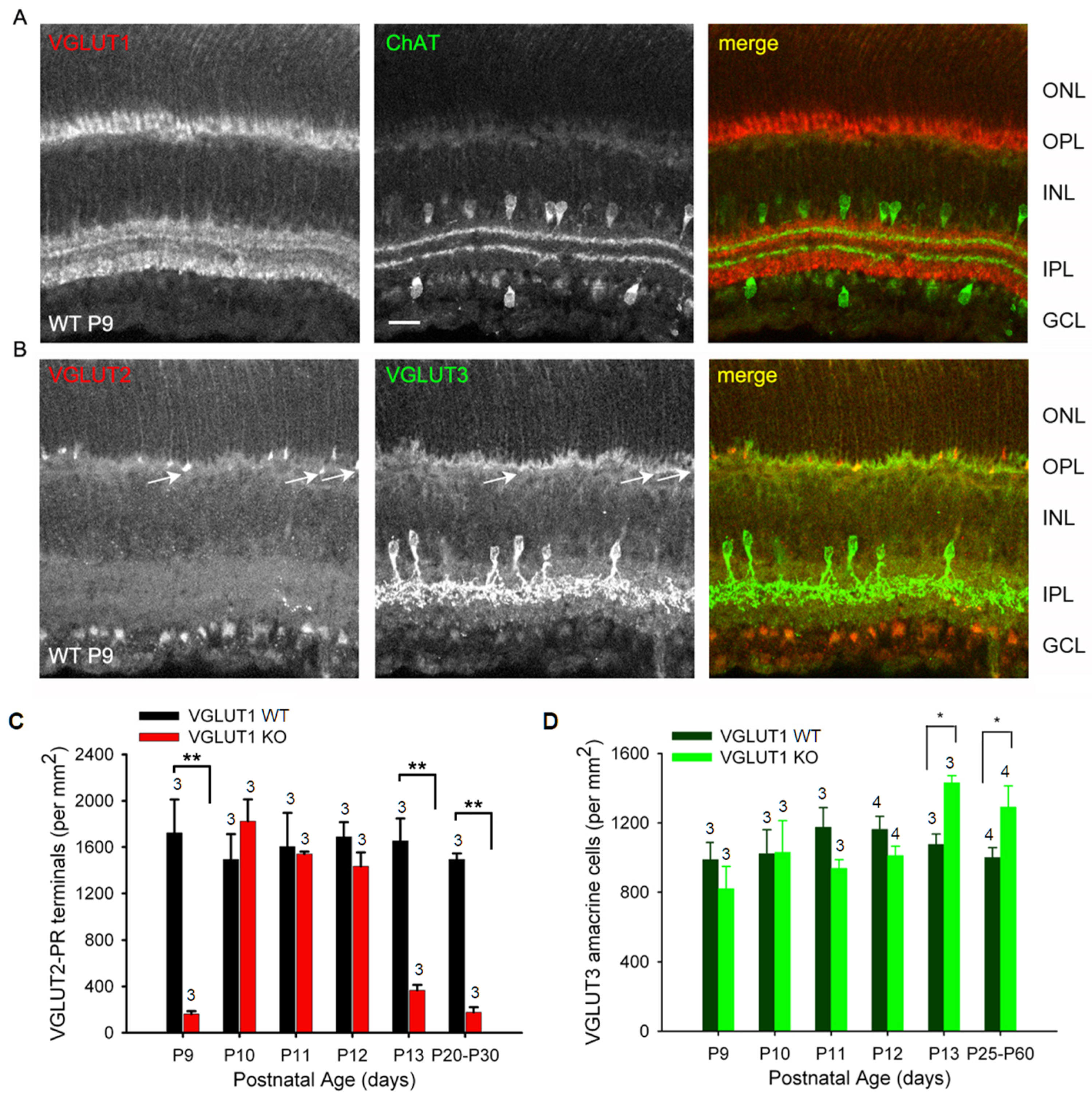 Brainsci 15 01024 g009 Brainsci 15 01024 g009