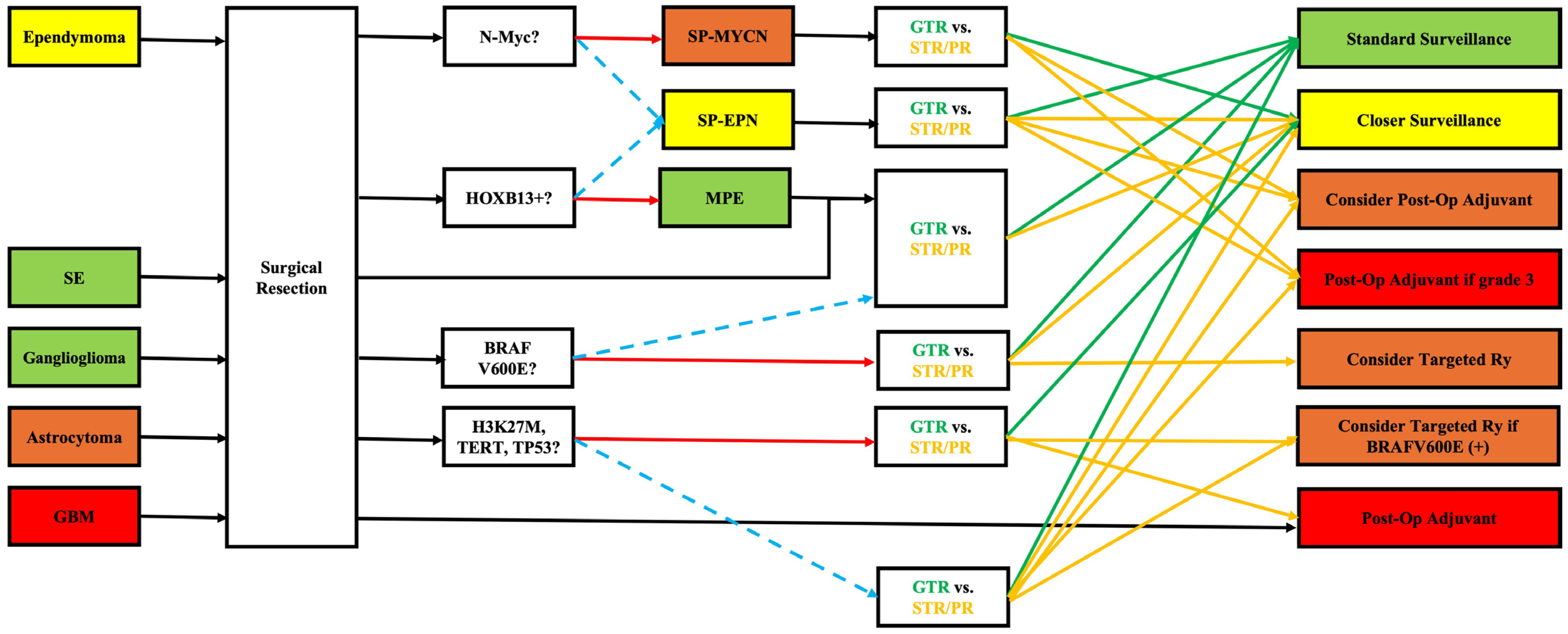Brainsci 15 01028 g001
