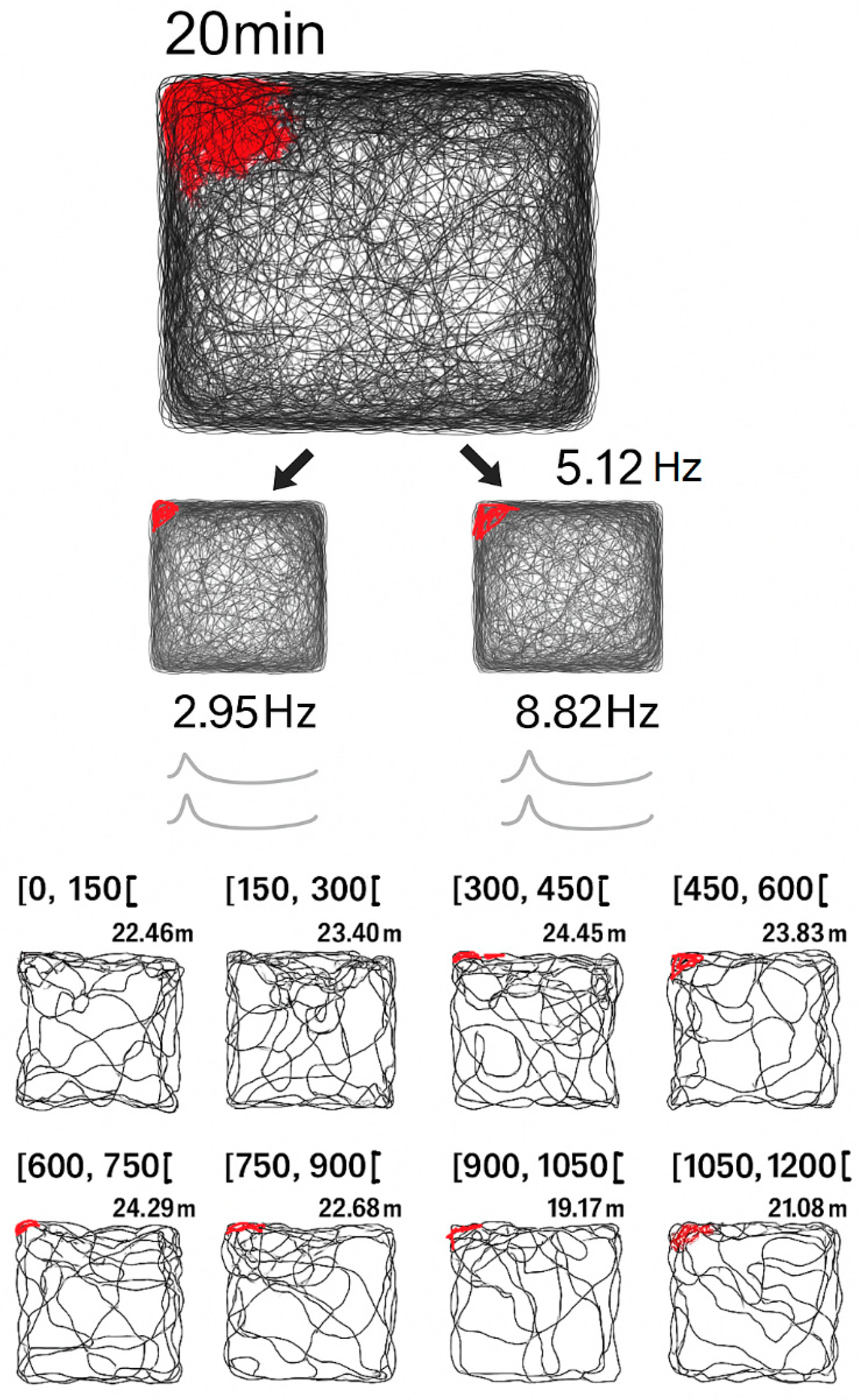 Brainsci 15 01037 g015