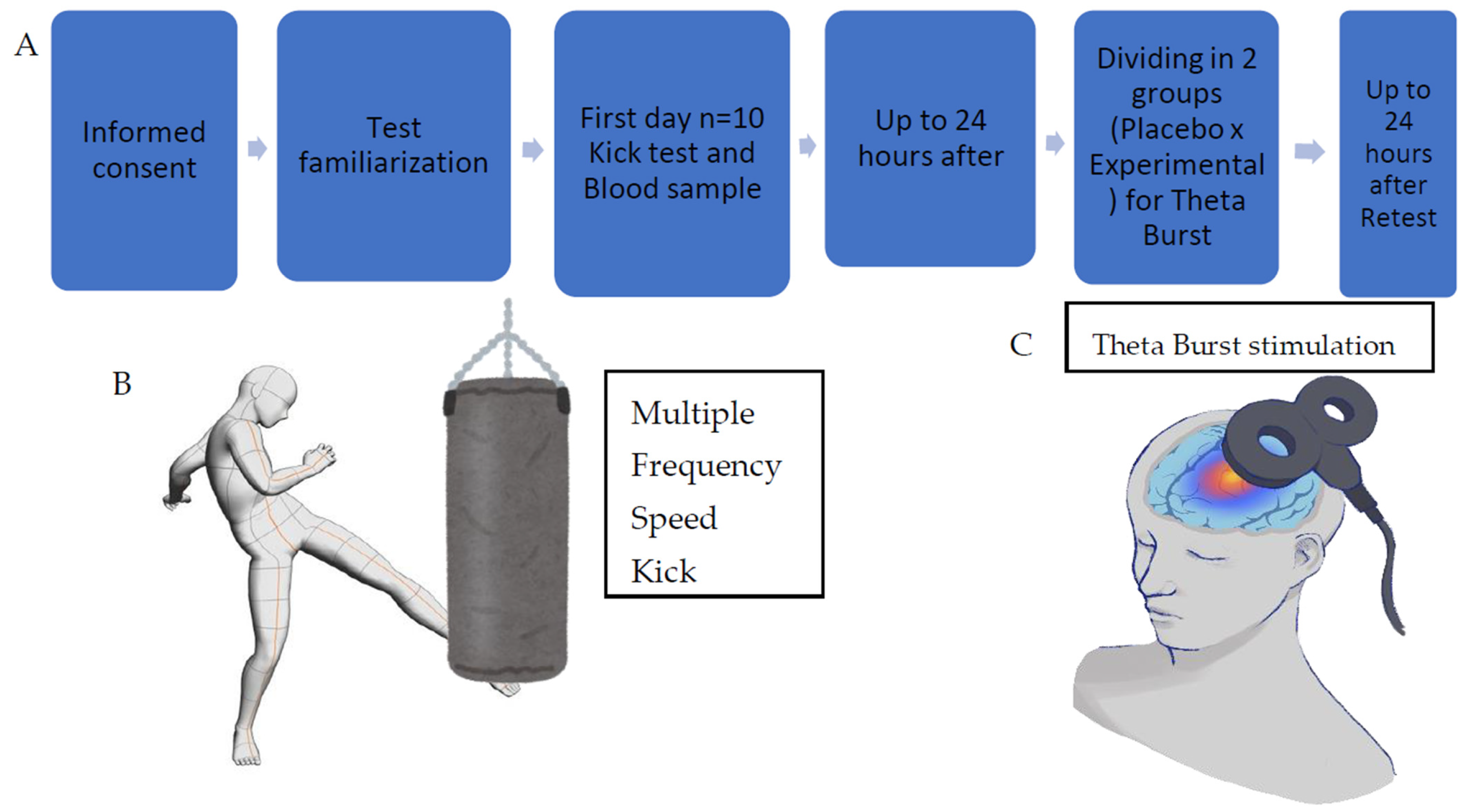 Brainsci 15 01047 g001