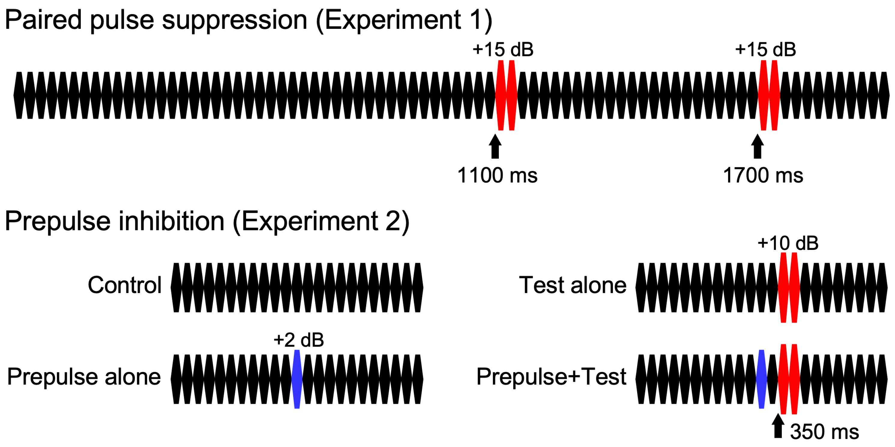 Brainsci 15 01052 g001 Brainsci 15 01052 g001