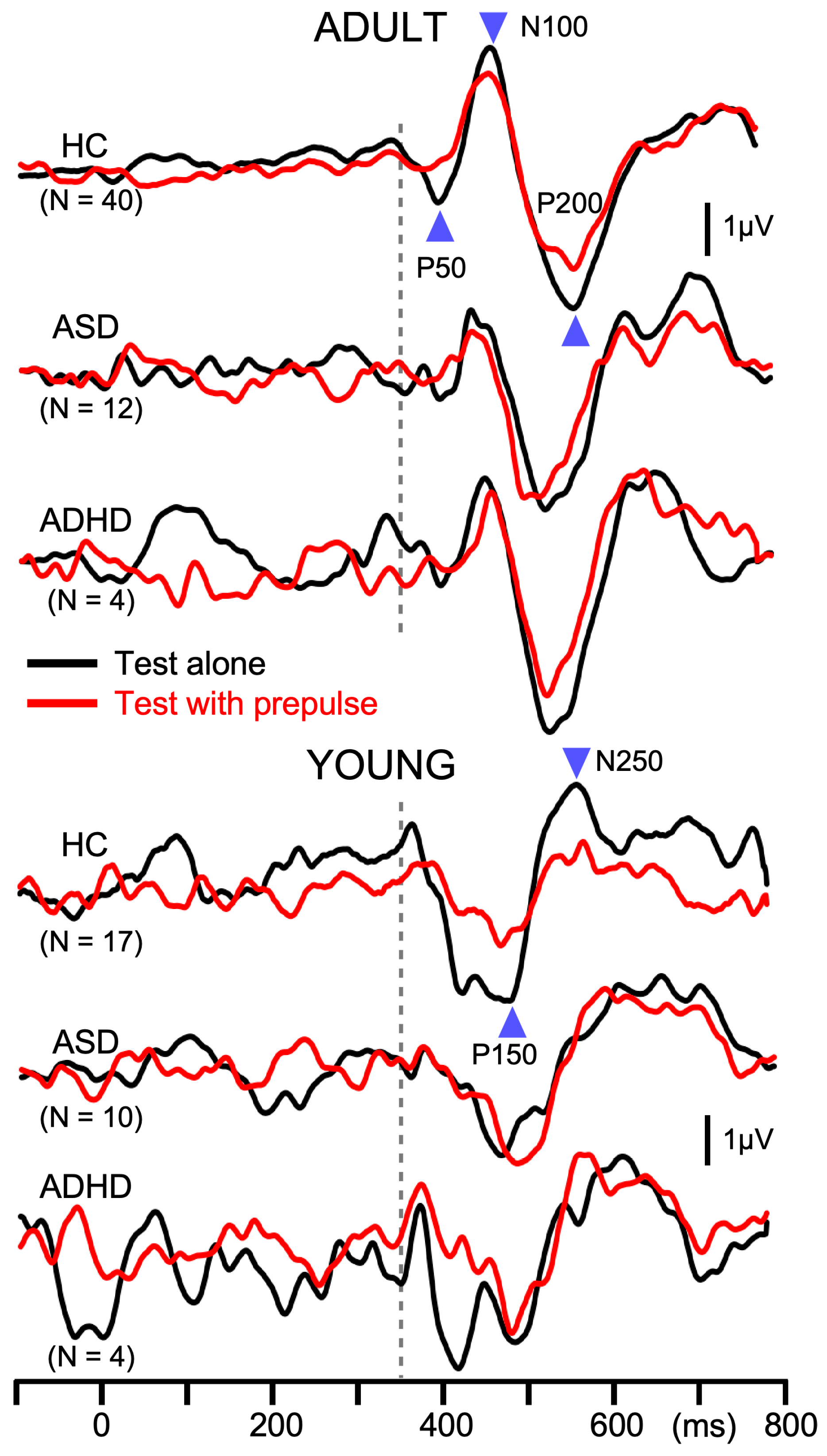 Brainsci 15 01052 g003 Brainsci 15 01052 g003