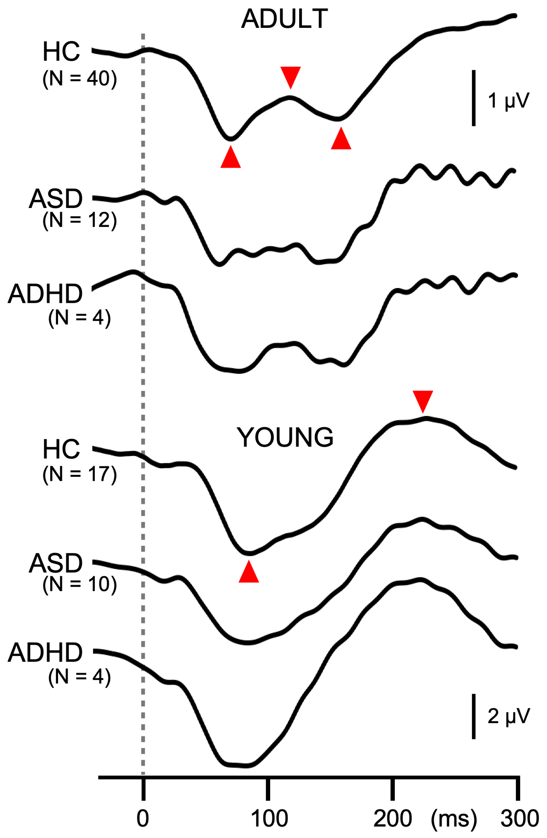 Brainsci 15 01052 g004 Brainsci 15 01052 g004