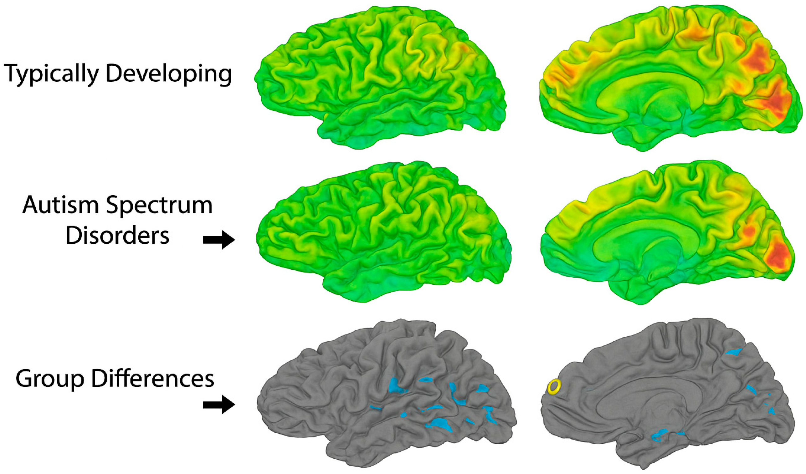 Brainsci 15 01057 g001