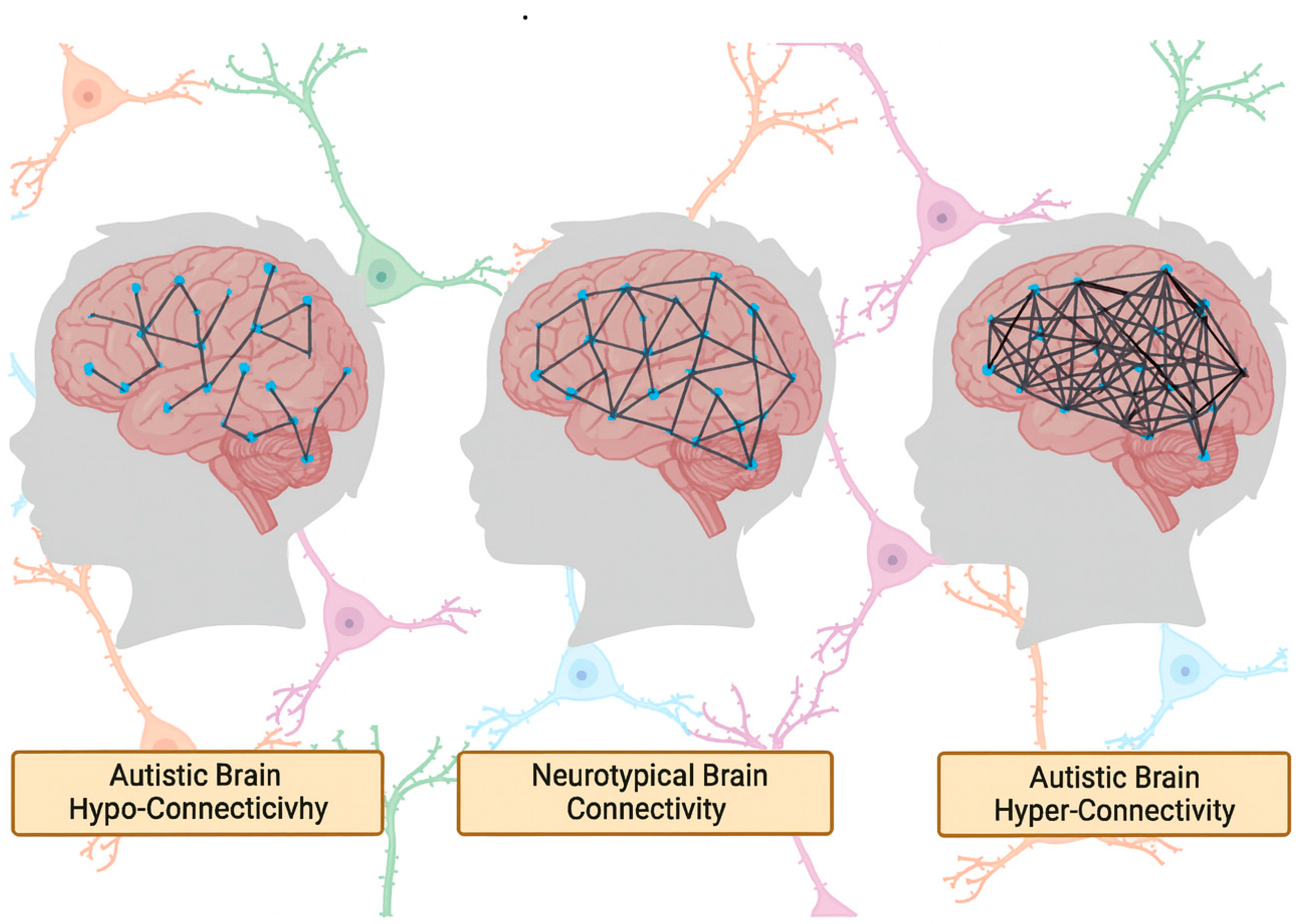 Brainsci 15 01057 g002