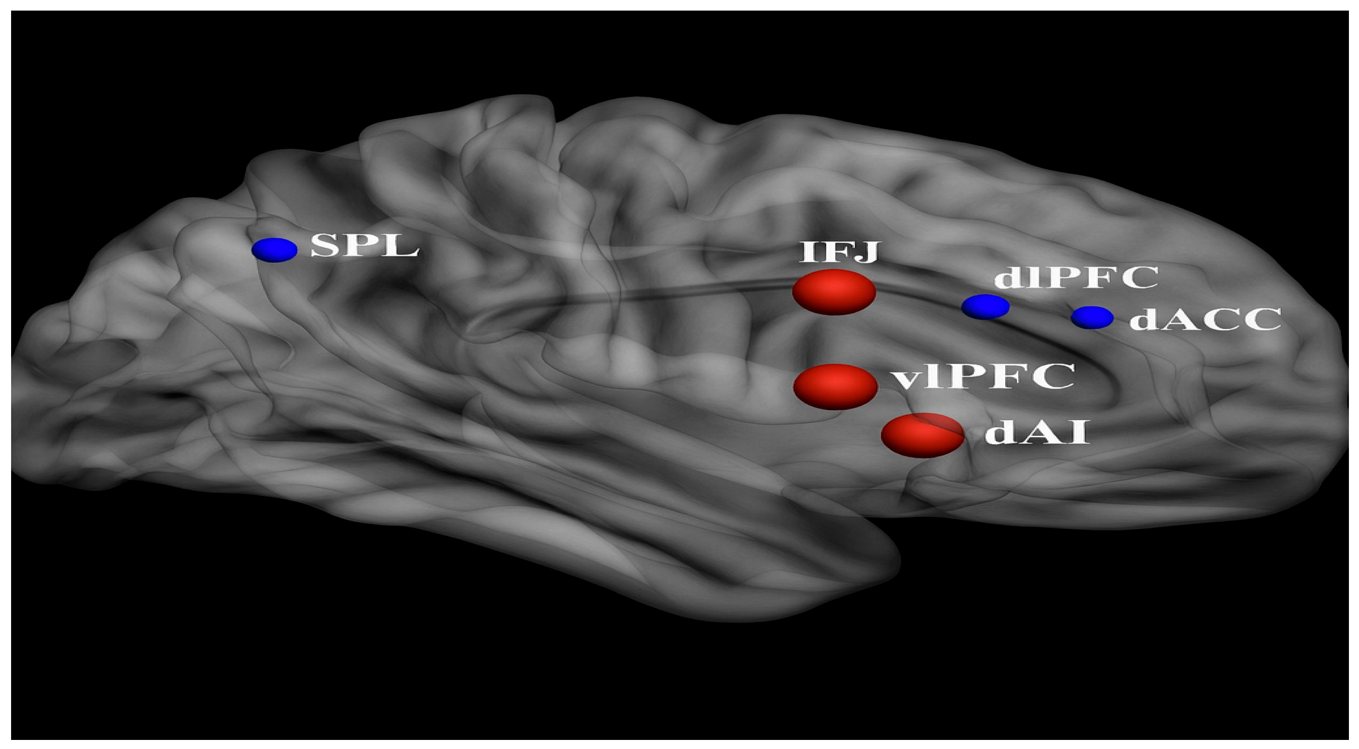 Brainsci 15 01057 g004