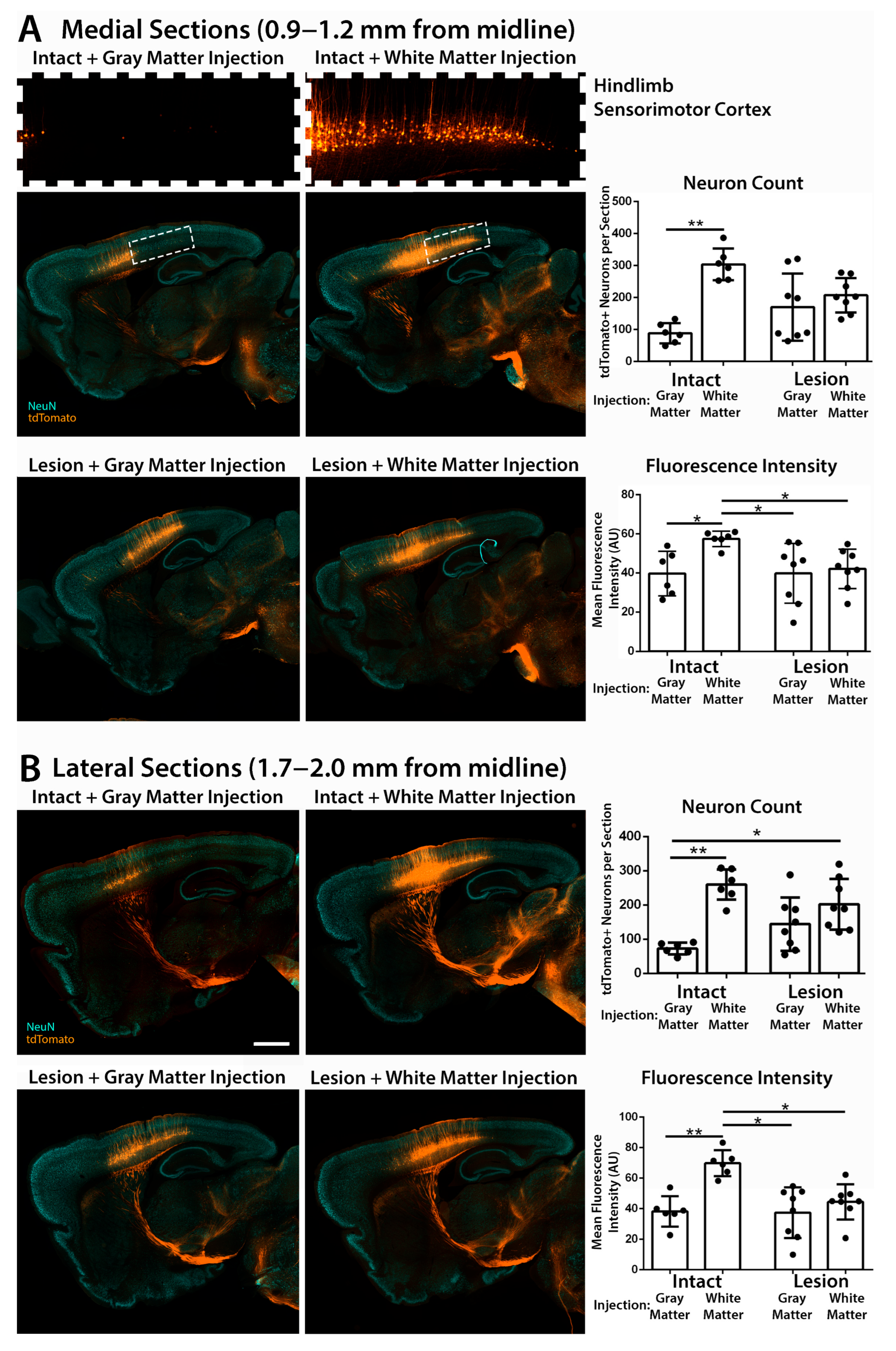 Brainsci 15 01058 g002 Brainsci 15 01058 g002