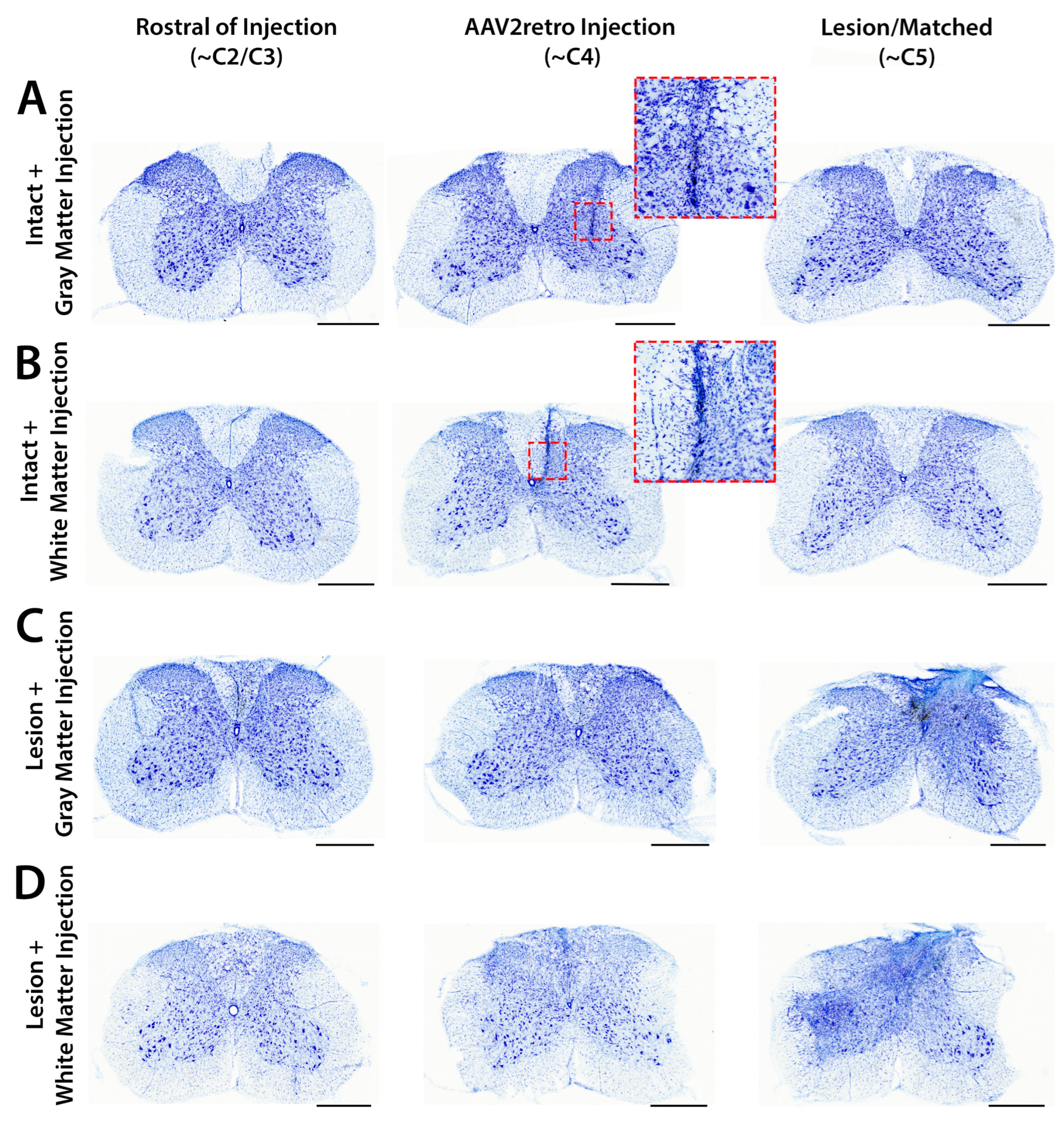 Brainsci 15 01058 g005 Brainsci 15 01058 g005