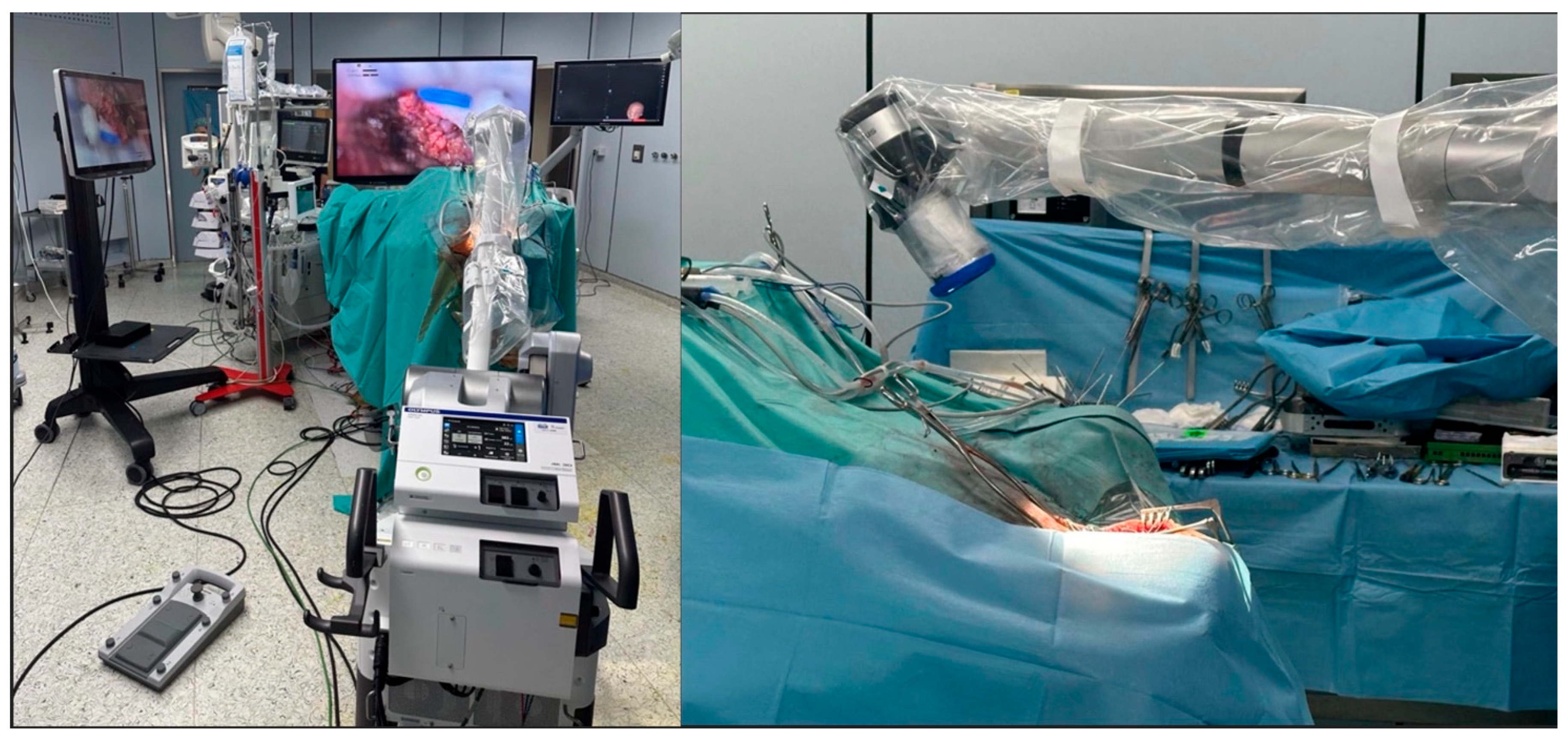 Brainsci 15 01060 g001