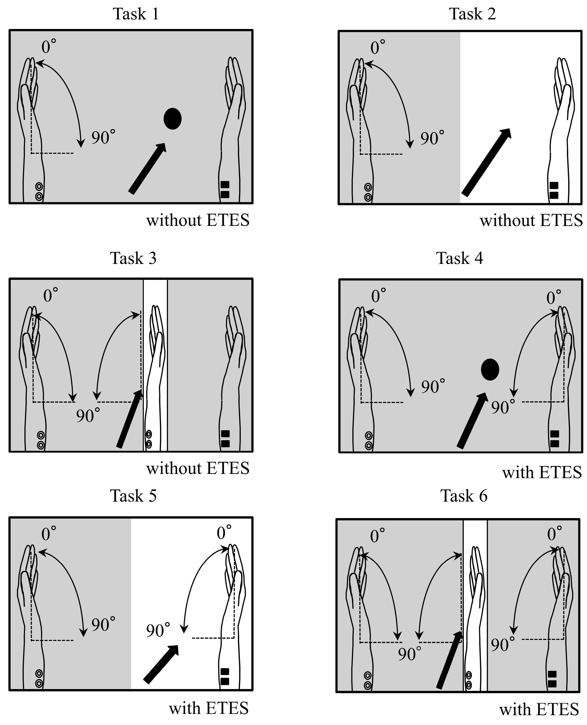 Brainsci 15 01074 g001 Brainsci 15 01074 g001