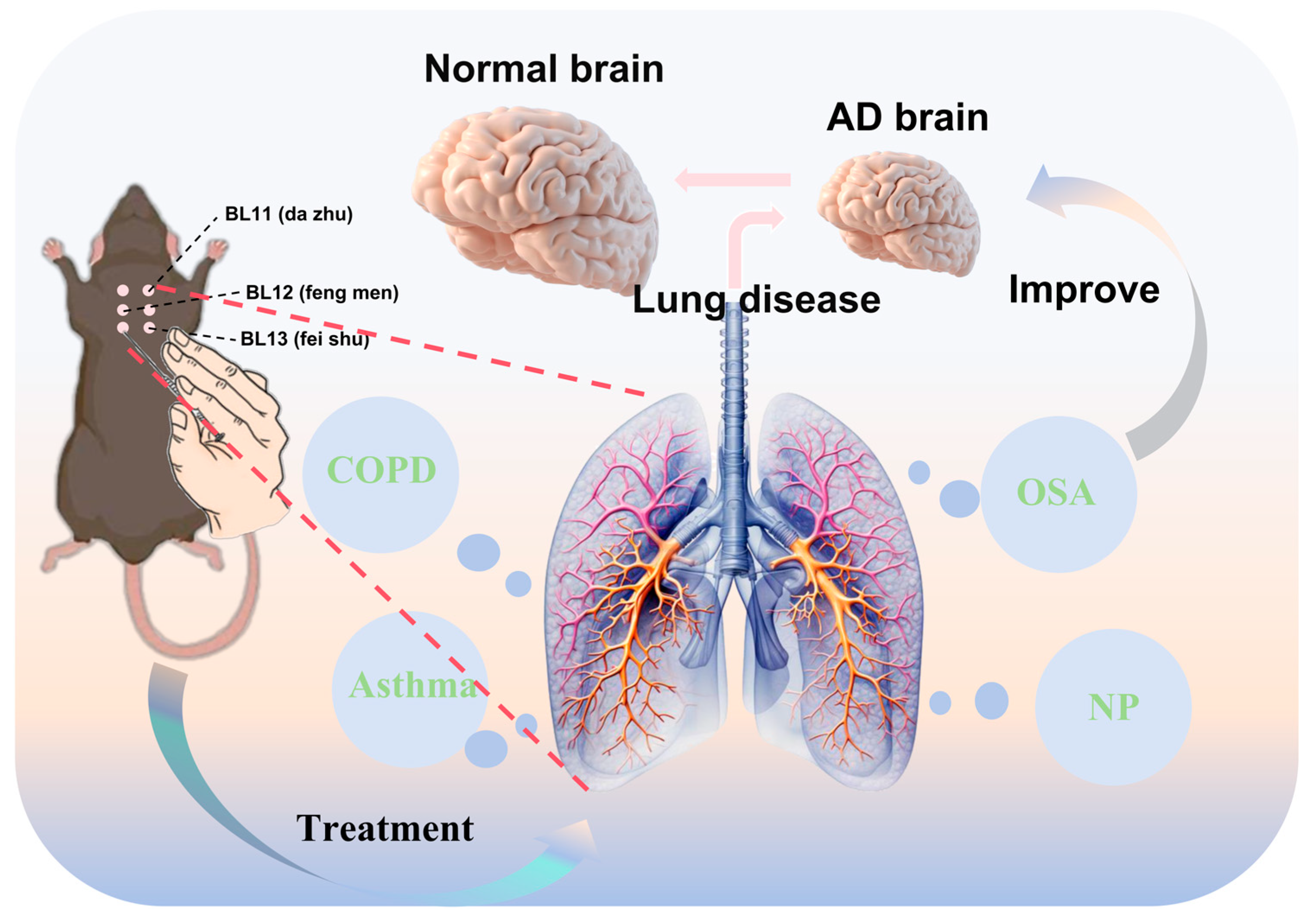 Brainsci 15 01076 g003