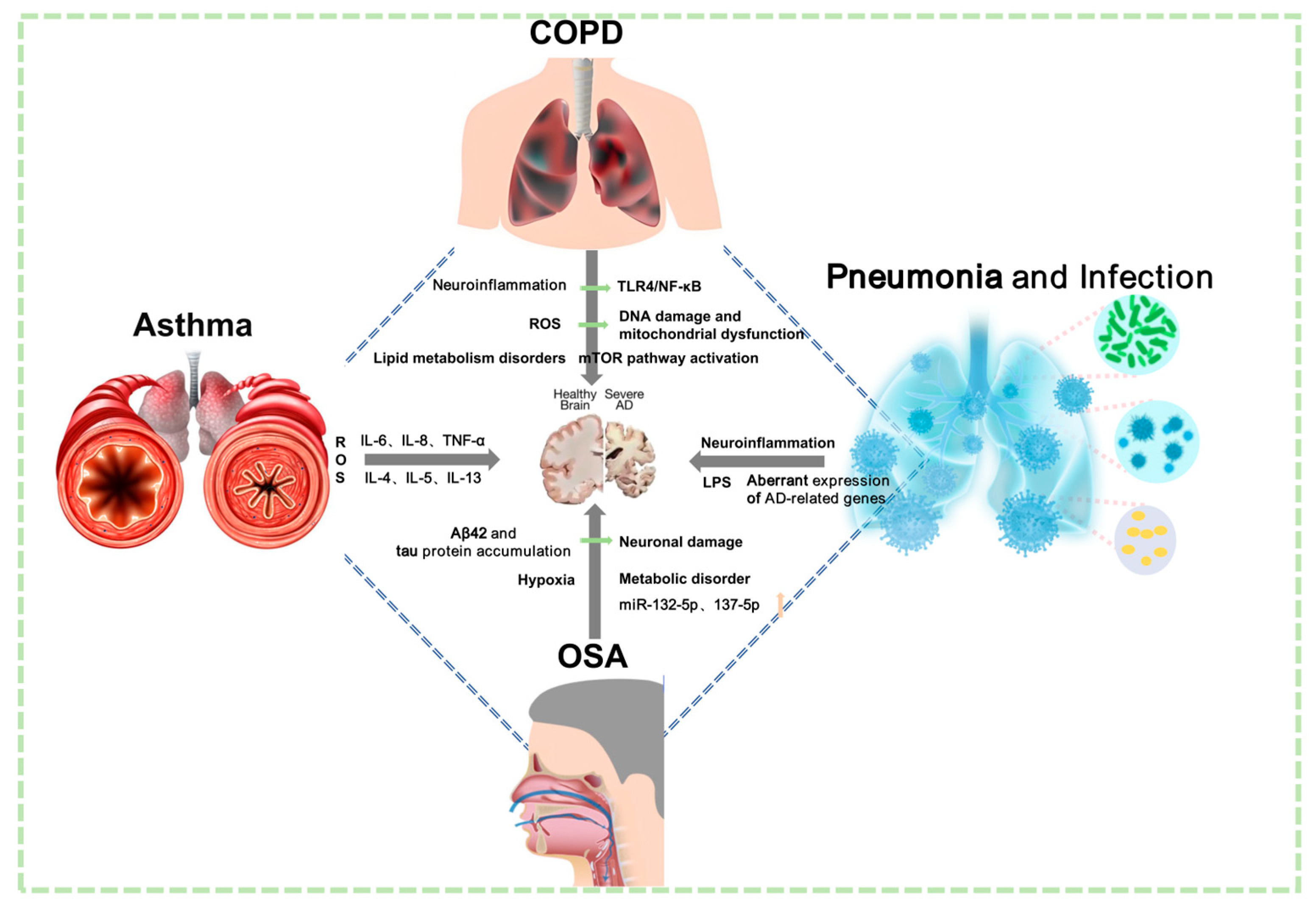 Brainsci 15 01076 g004