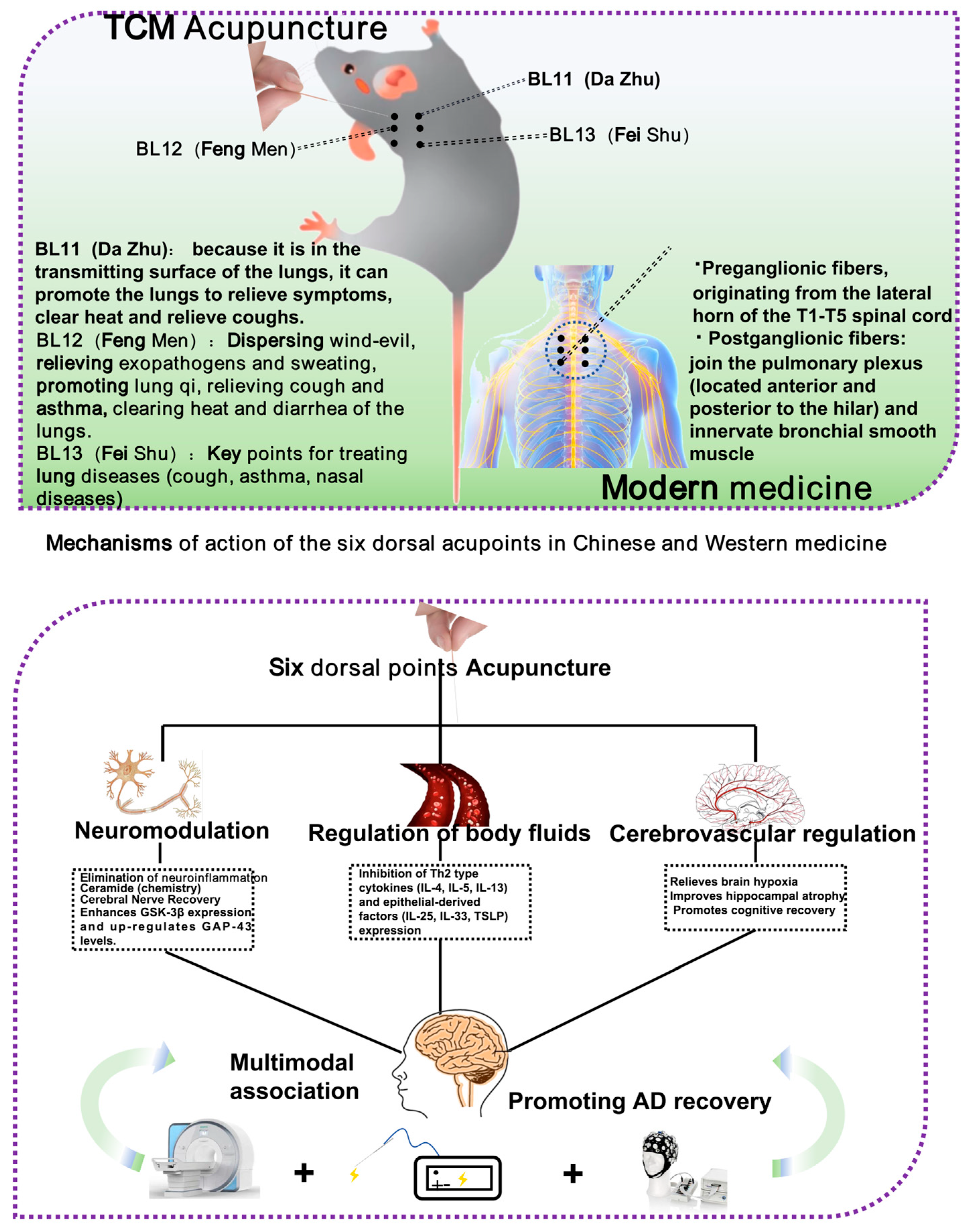 Brainsci 15 01076 g005