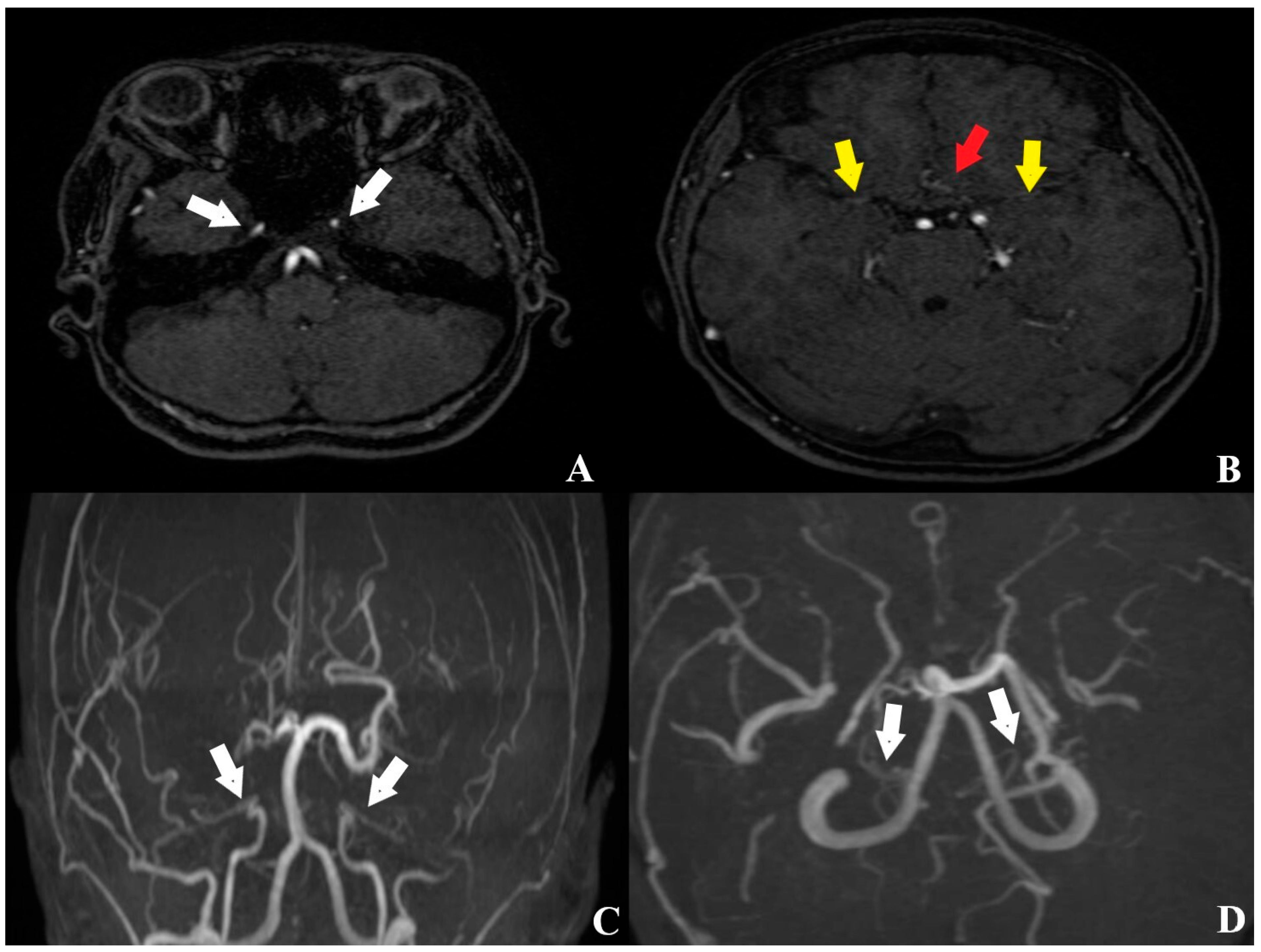 Brainsci 15 01077 g003