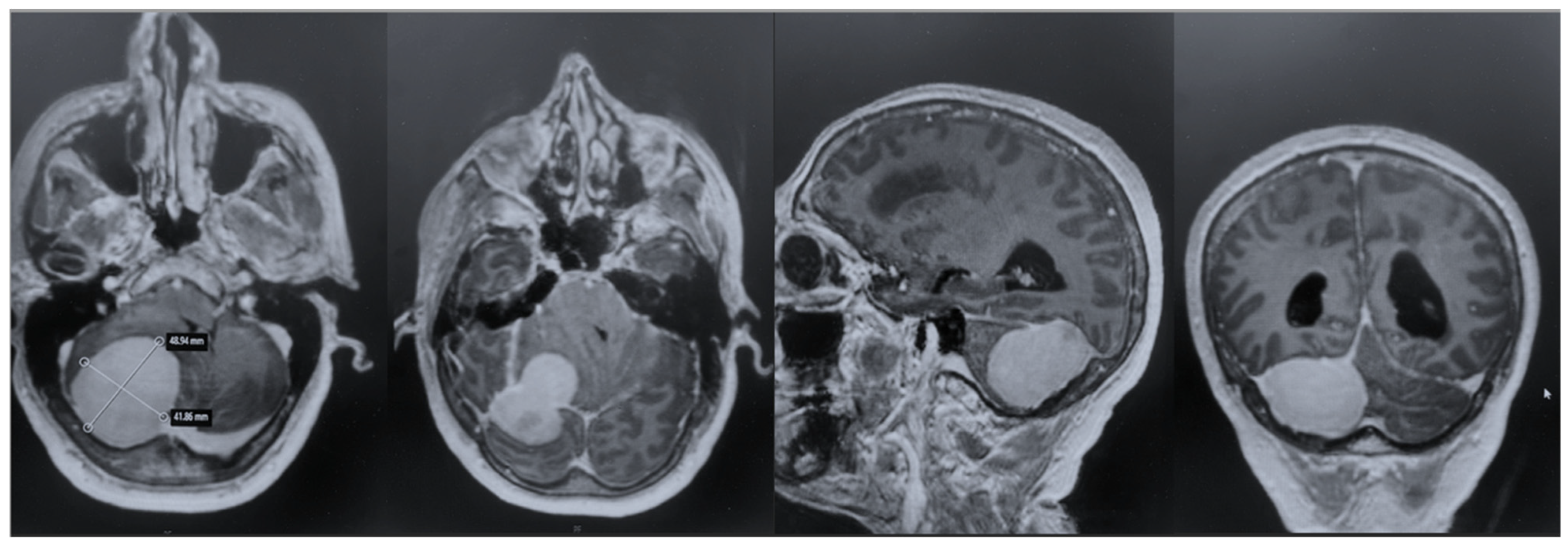 Brainsci 15 01079 g001