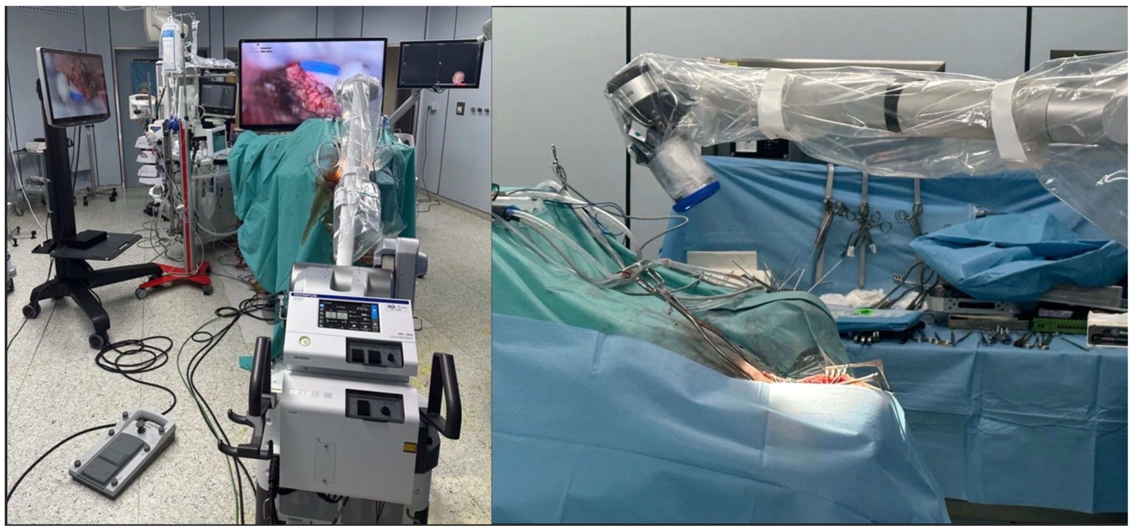 Brainsci 15 01079 g003