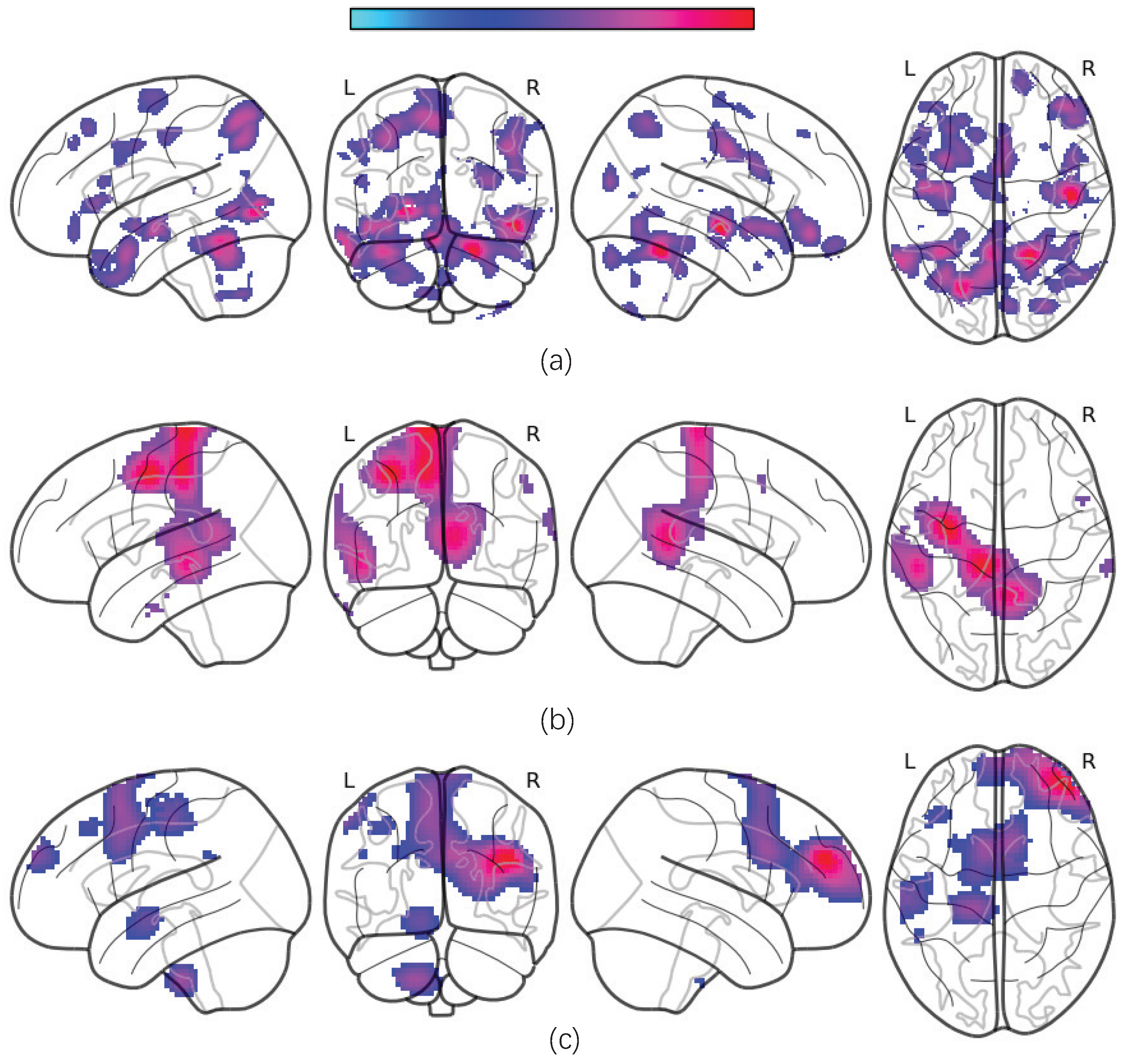 Brainsci 15 01081 g005