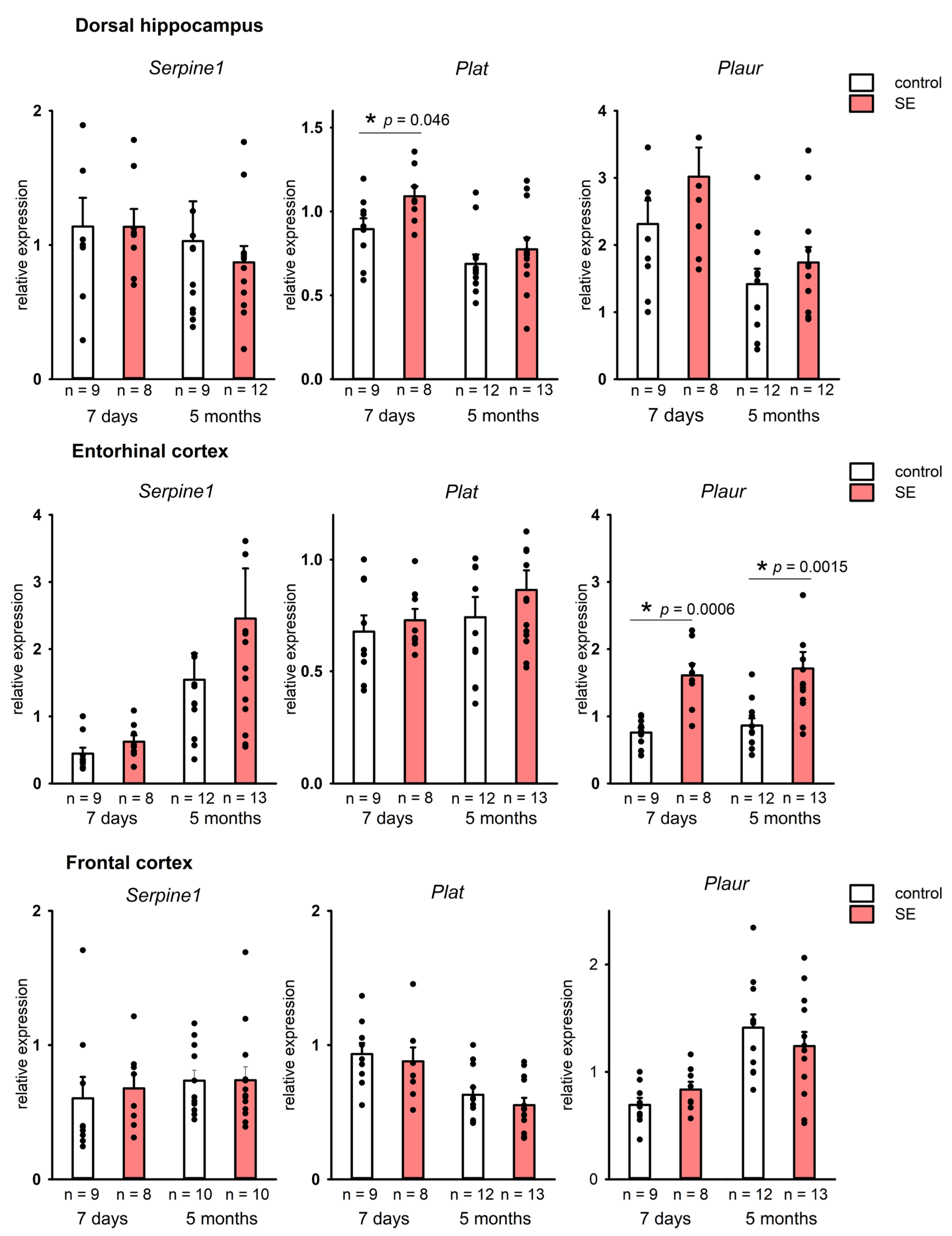 Brainsci 15 01083 g001 Brainsci 15 01083 g001