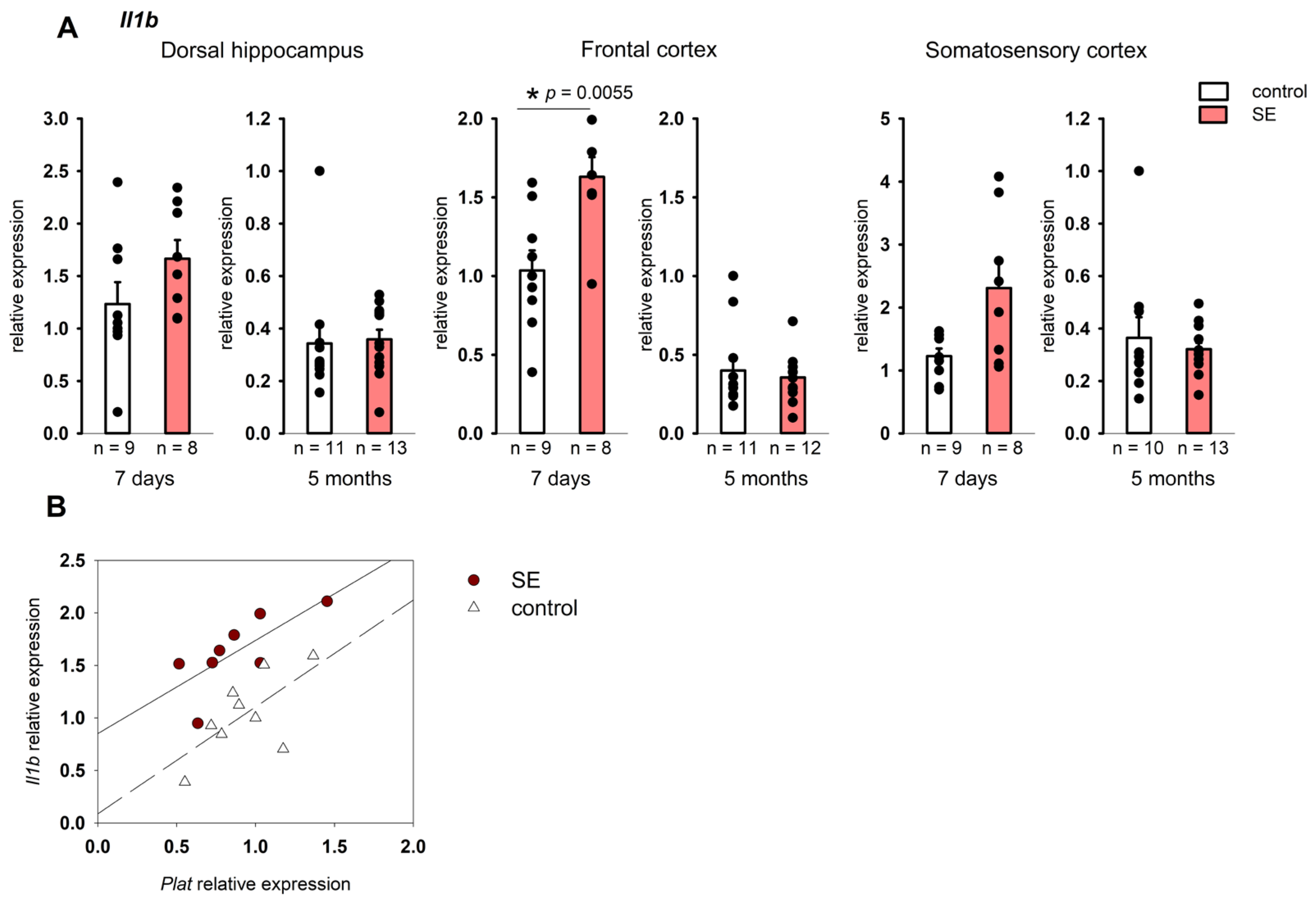 Brainsci 15 01083 g003 Brainsci 15 01083 g003