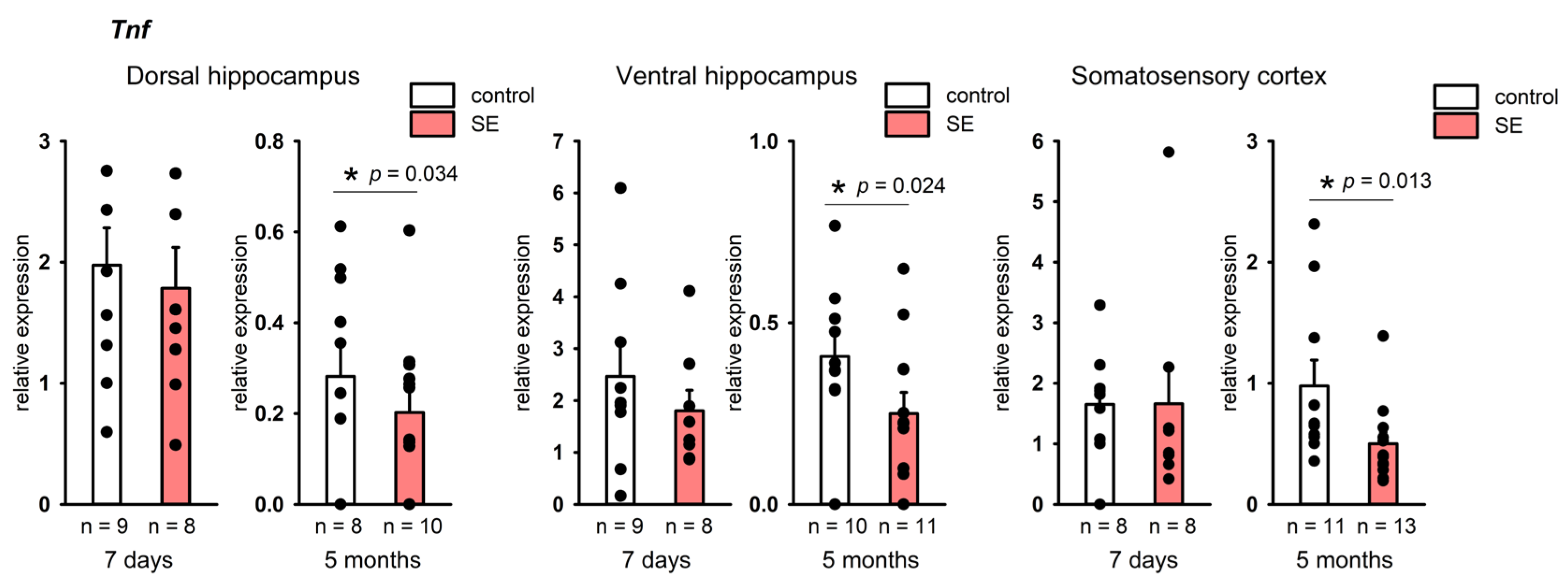 Brainsci 15 01083 g004 Brainsci 15 01083 g004