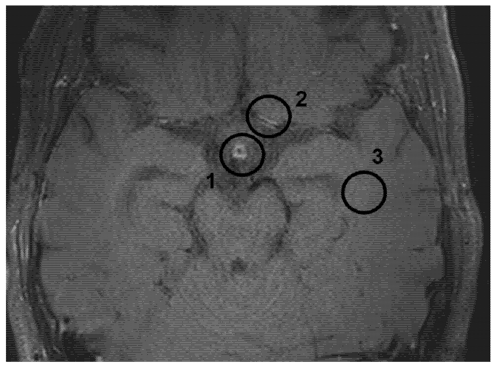 Brainsci 15 01089 g001