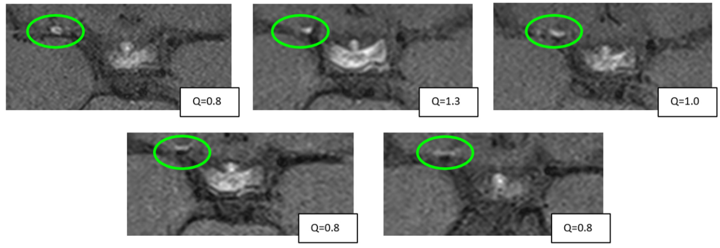 Brainsci 15 01089 g004