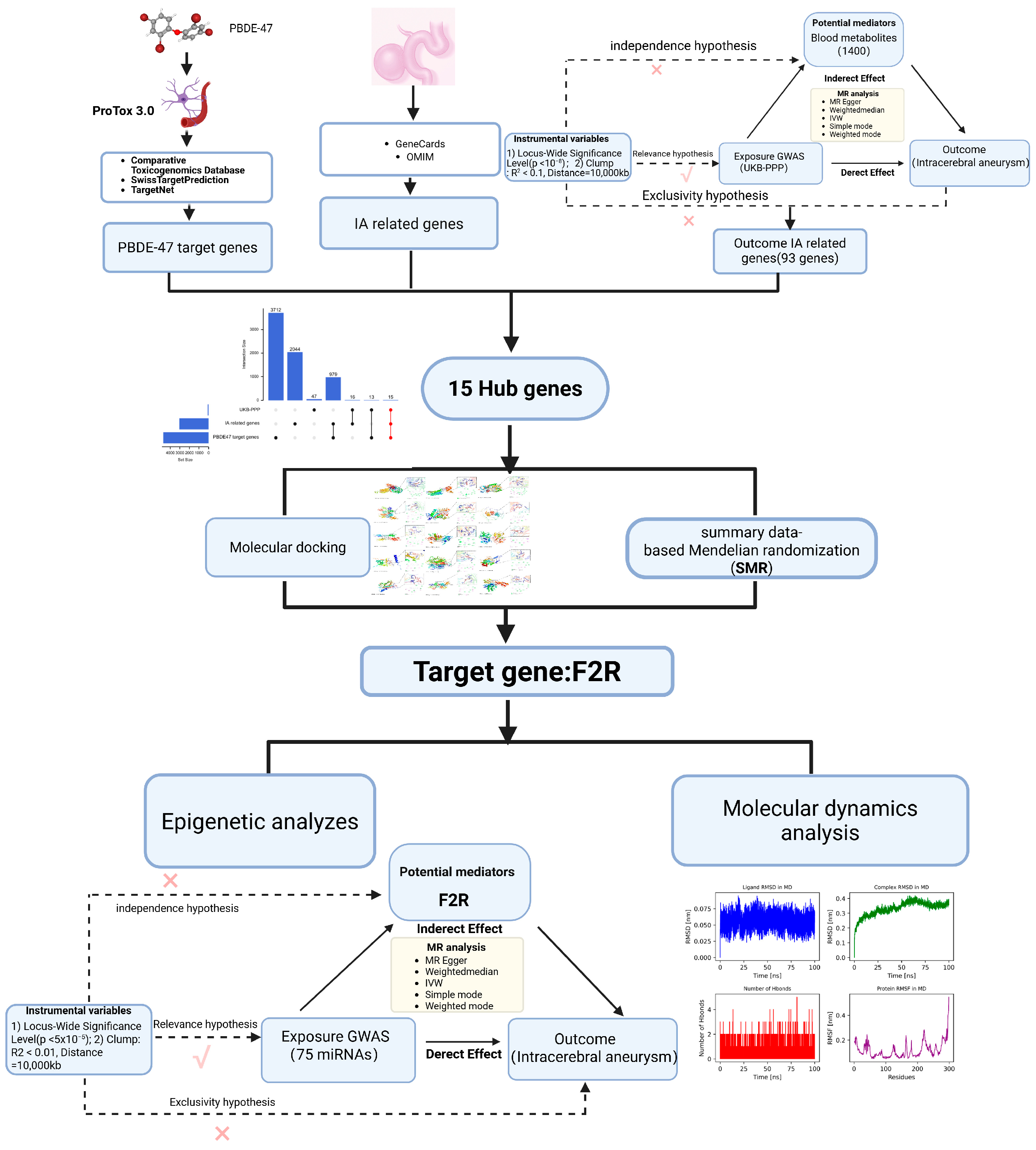 Brainsci 15 01091 g001 Brainsci 15 01091 g001