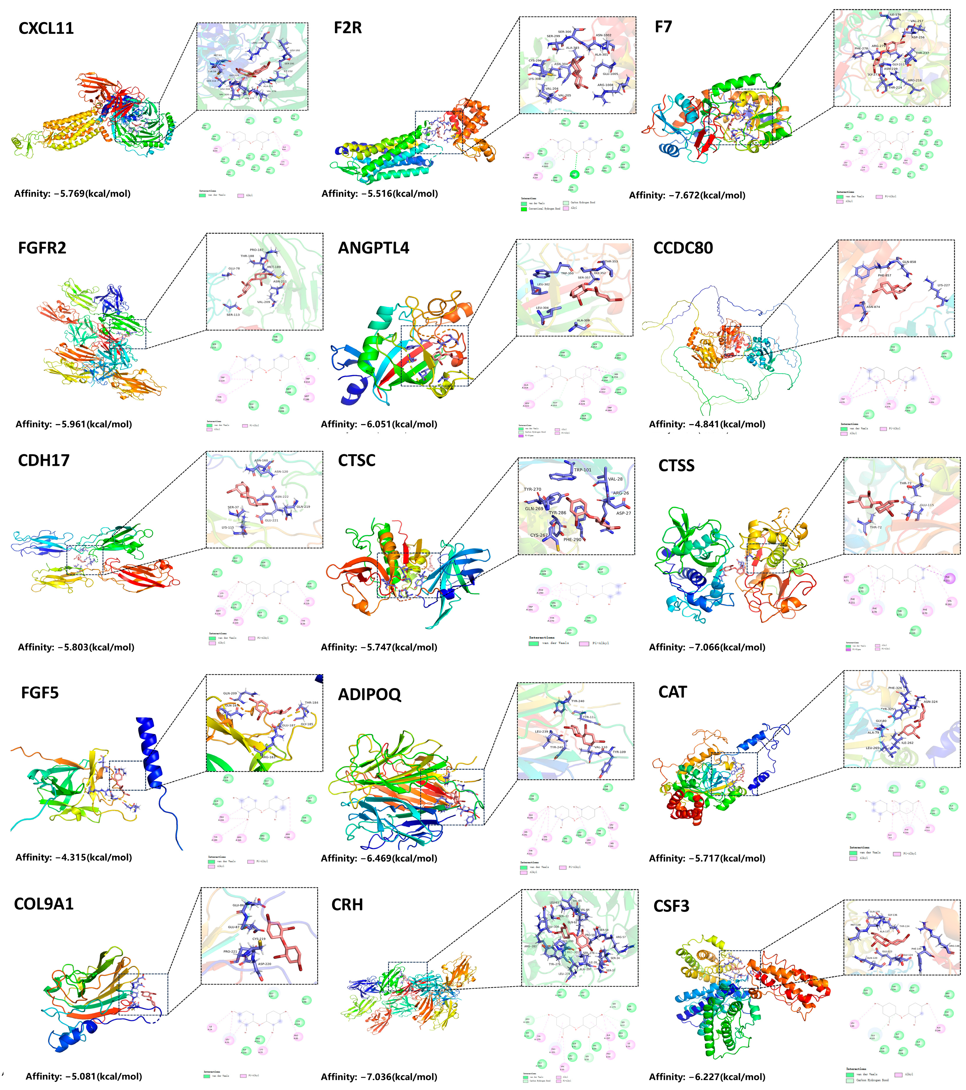 Brainsci 15 01091 g003 Brainsci 15 01091 g003