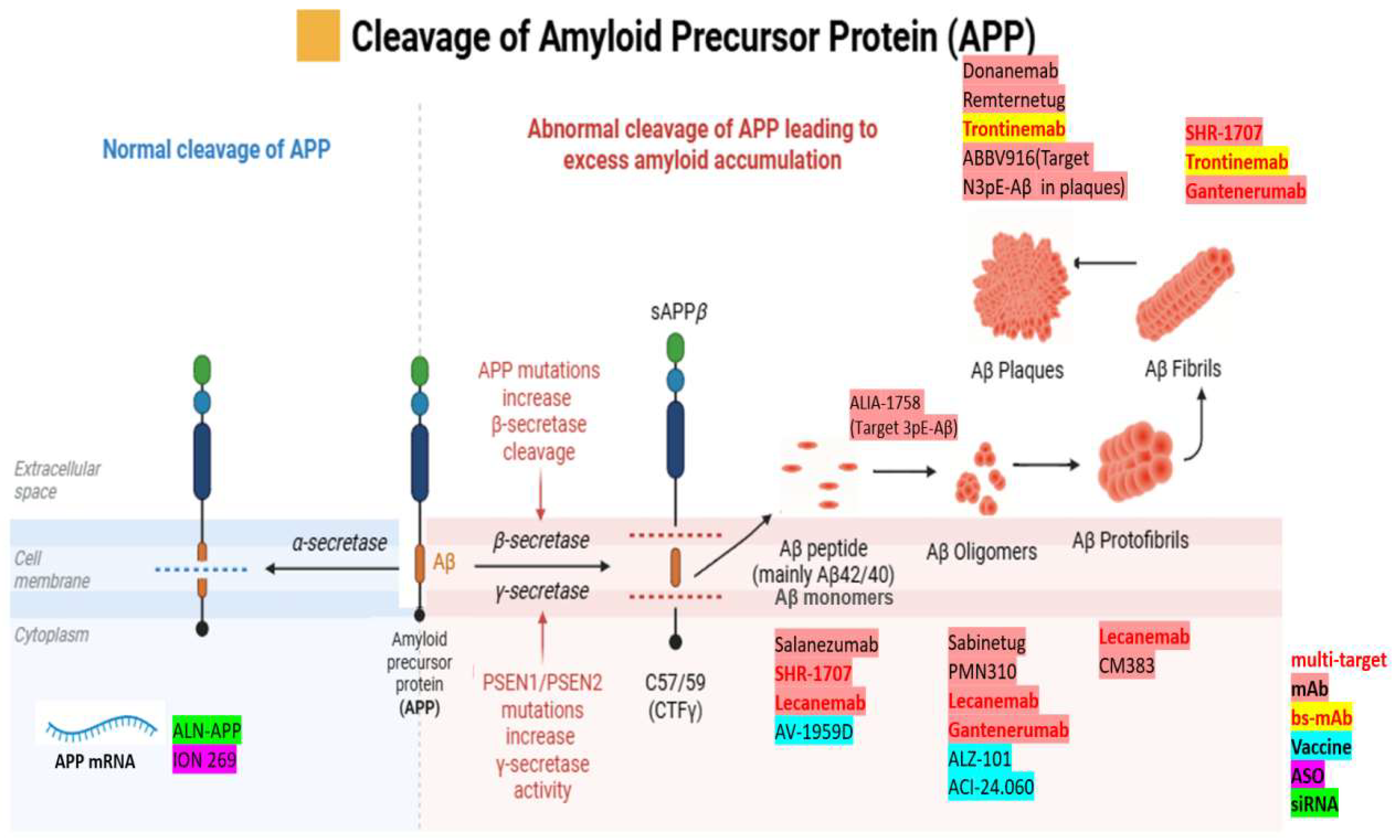 Brainsci 15 01101 g002 Brainsci 15 01101 g002