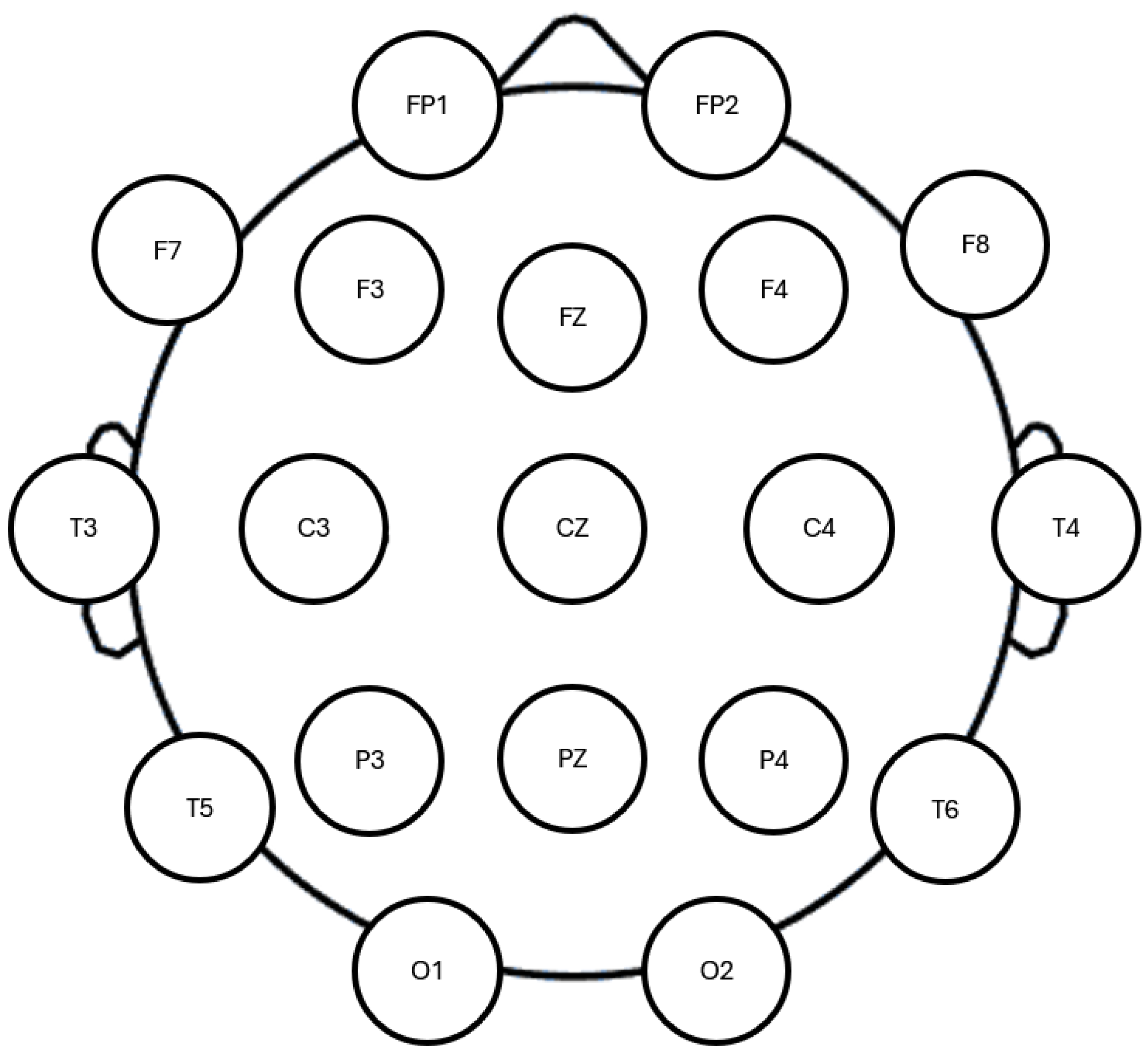 Brainsci 15 01103 g0a1 Brainsci 15 01103 g0a1