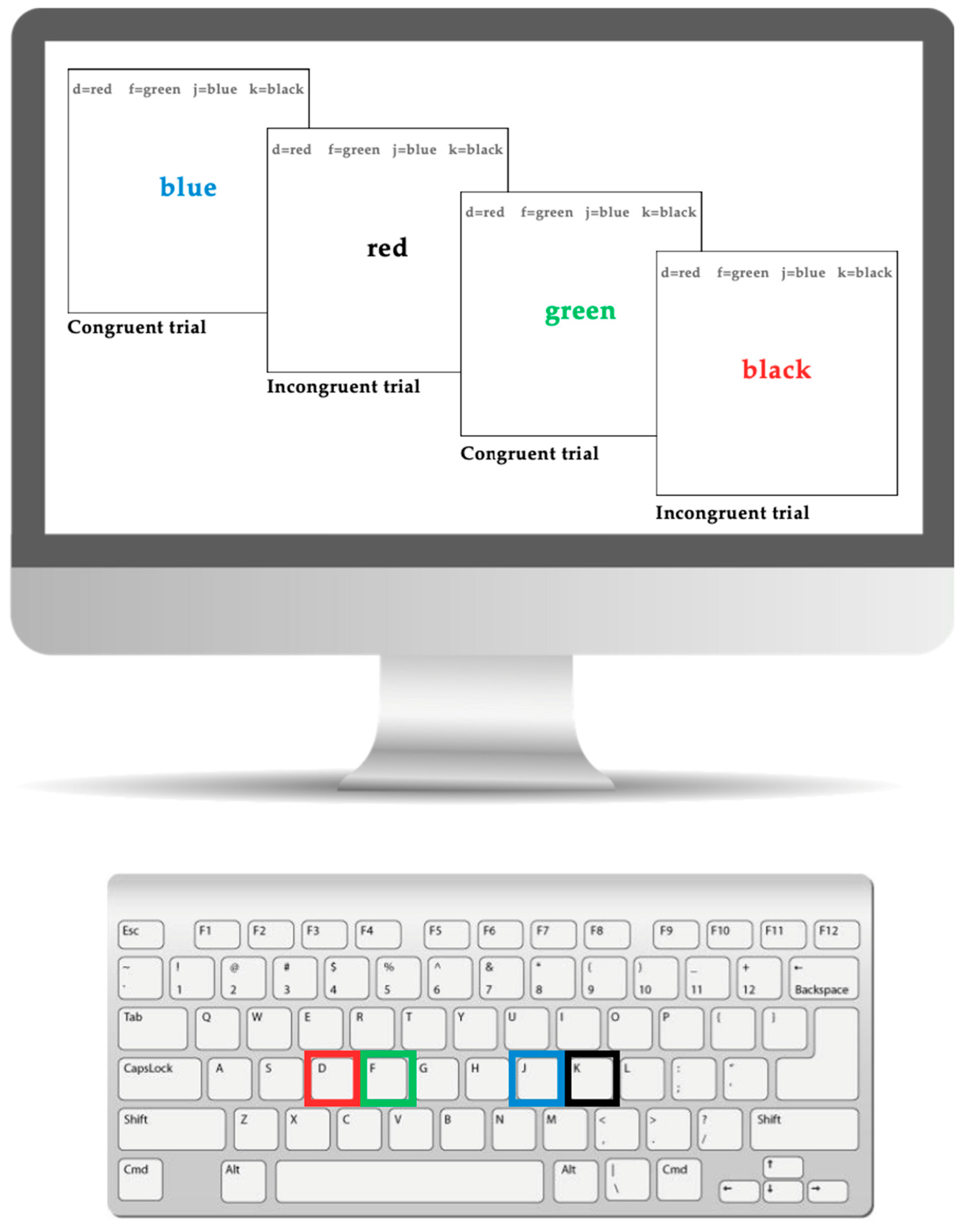 Brainsci 15 01107 g001 Brainsci 15 01107 g001