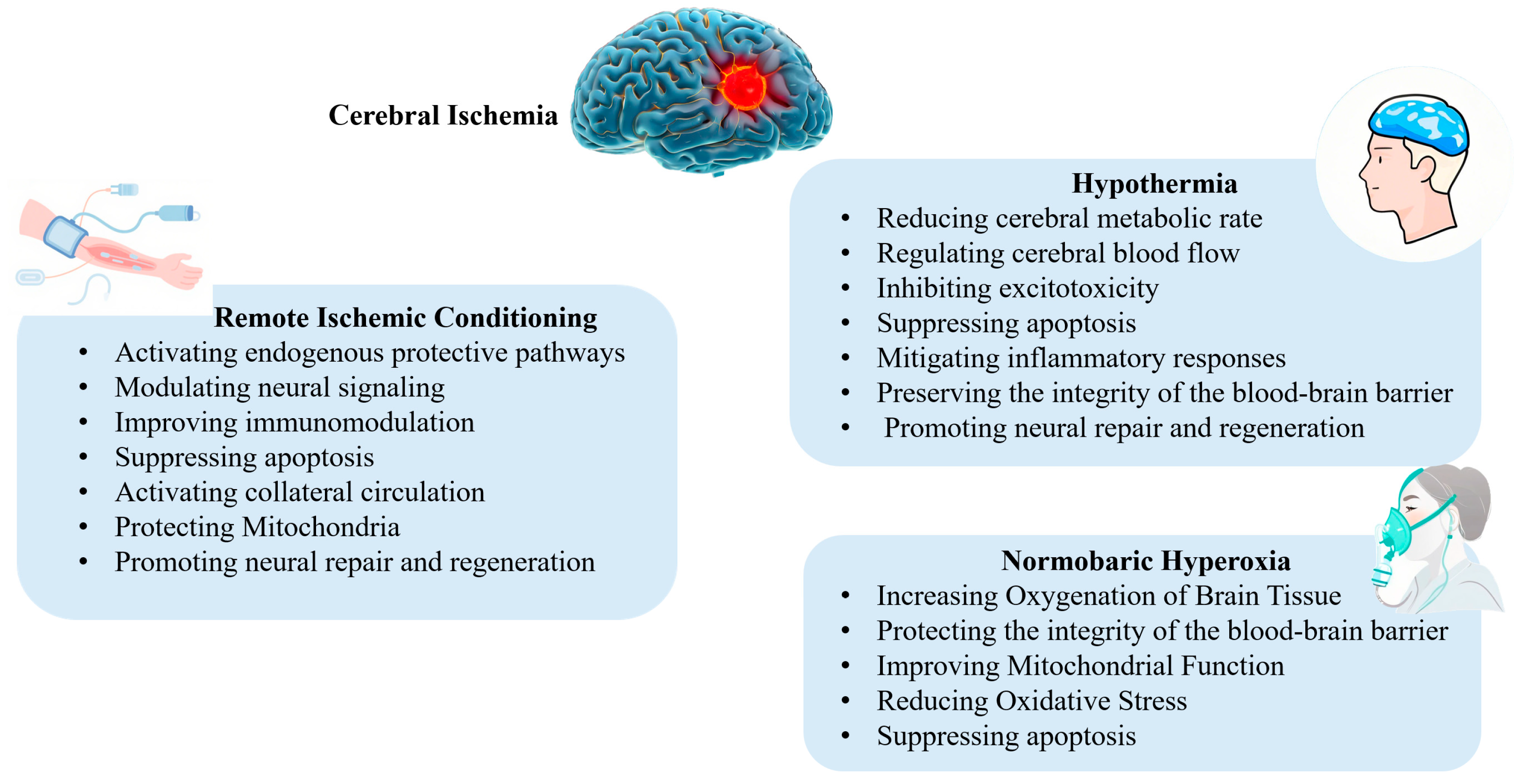 Brainsci 15 01111 g001 Brainsci 15 01111 g001