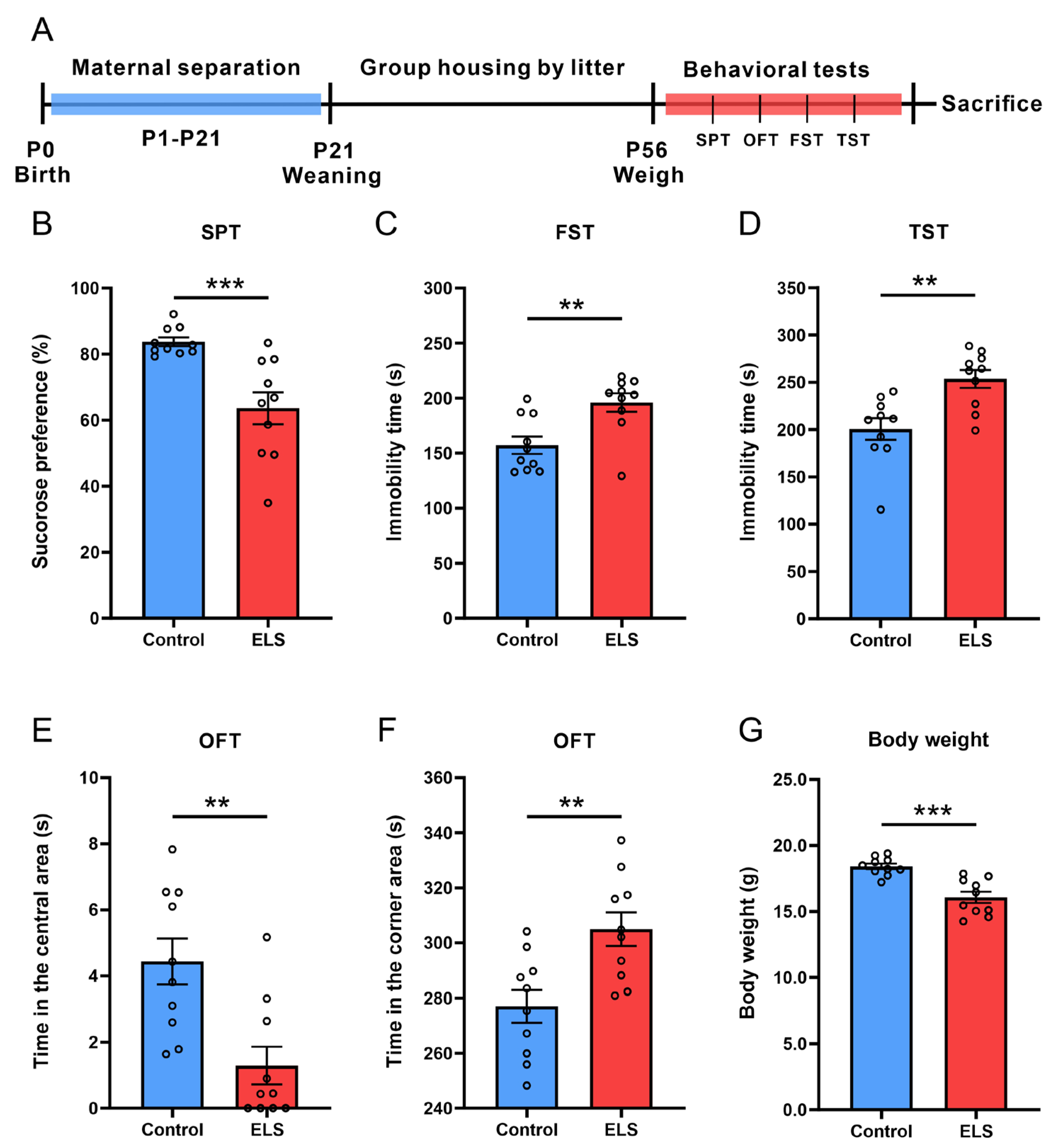 Brainsci 15 01112 g001