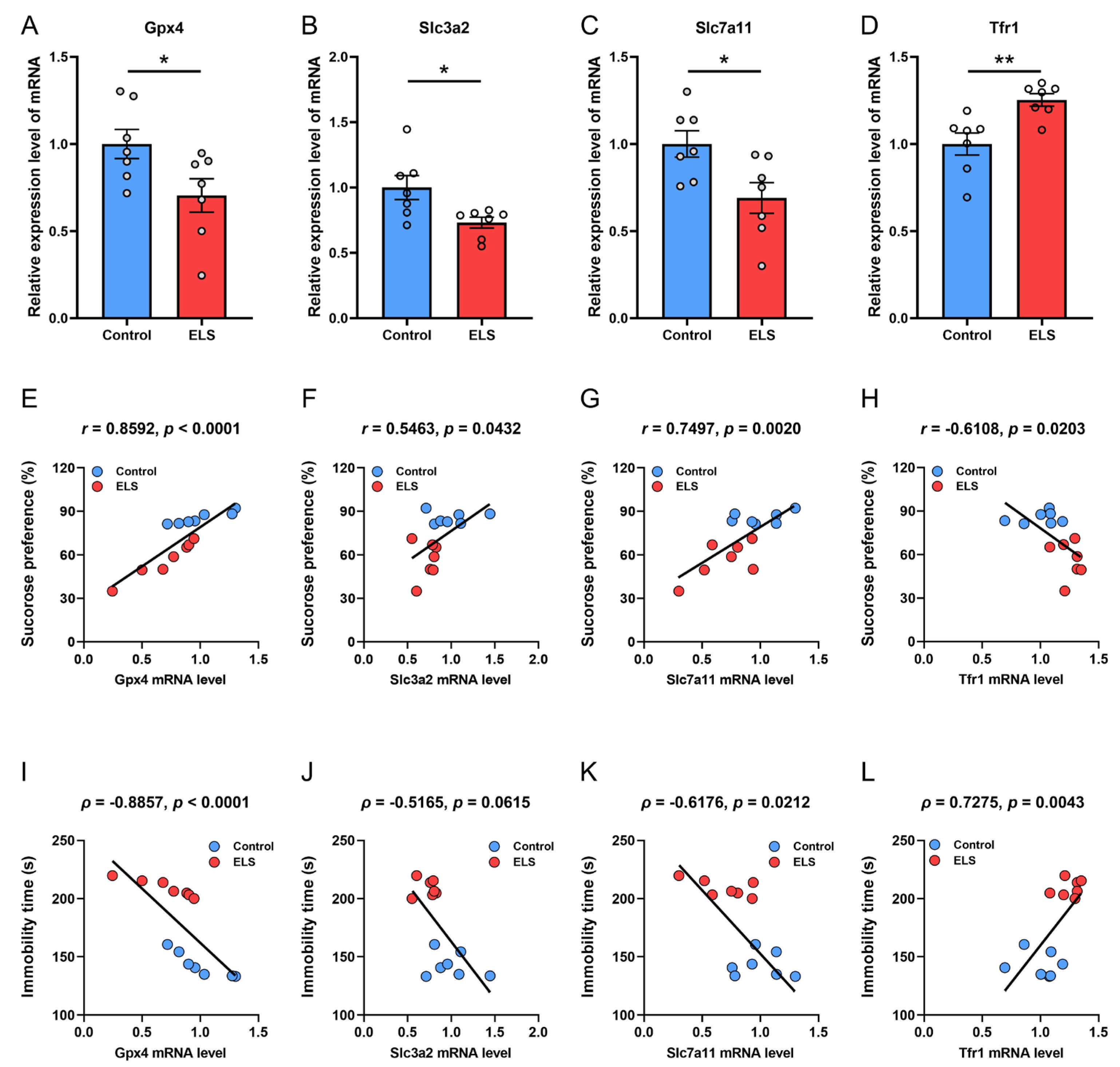 Brainsci 15 01112 g002