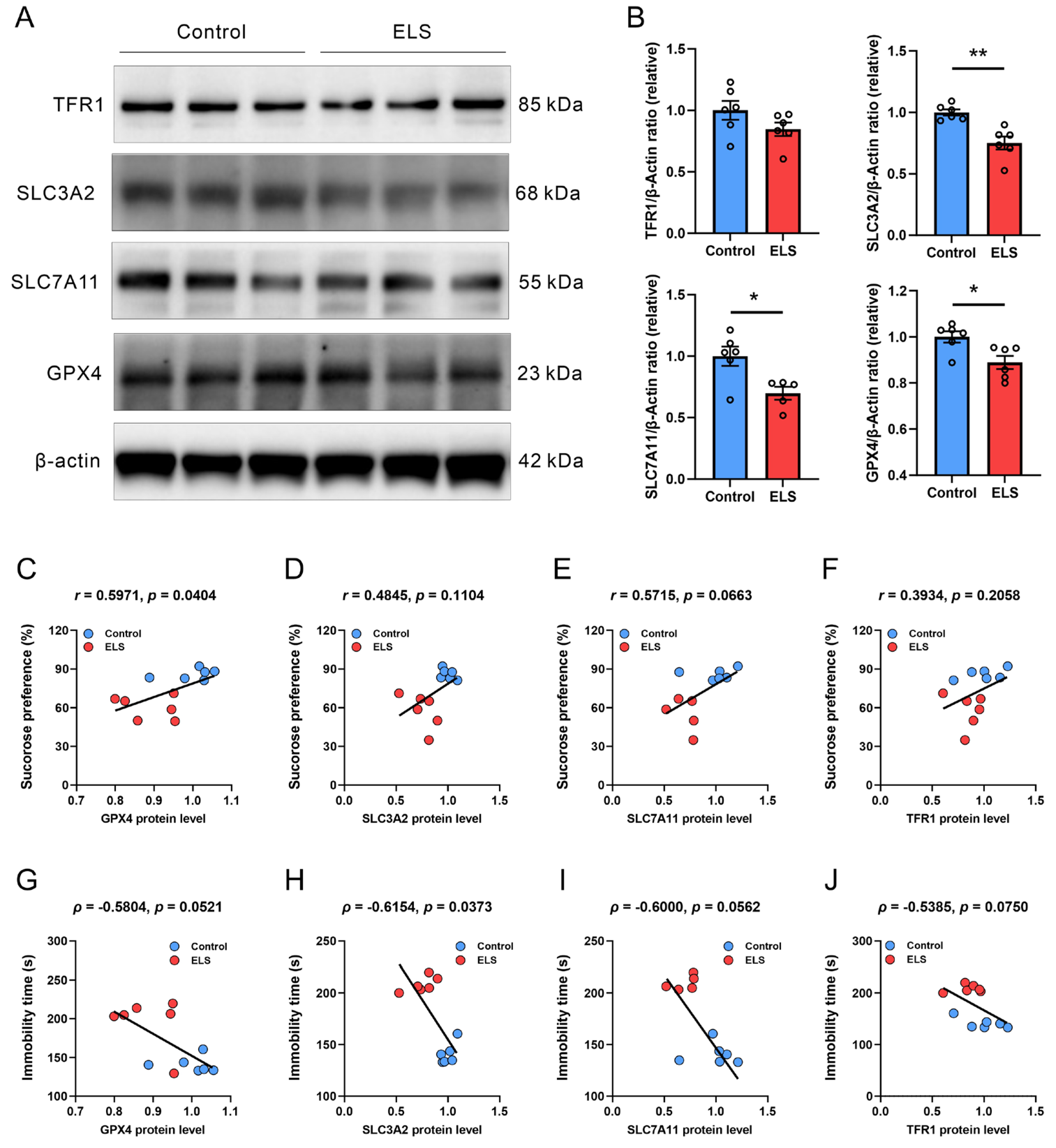 Brainsci 15 01112 g003