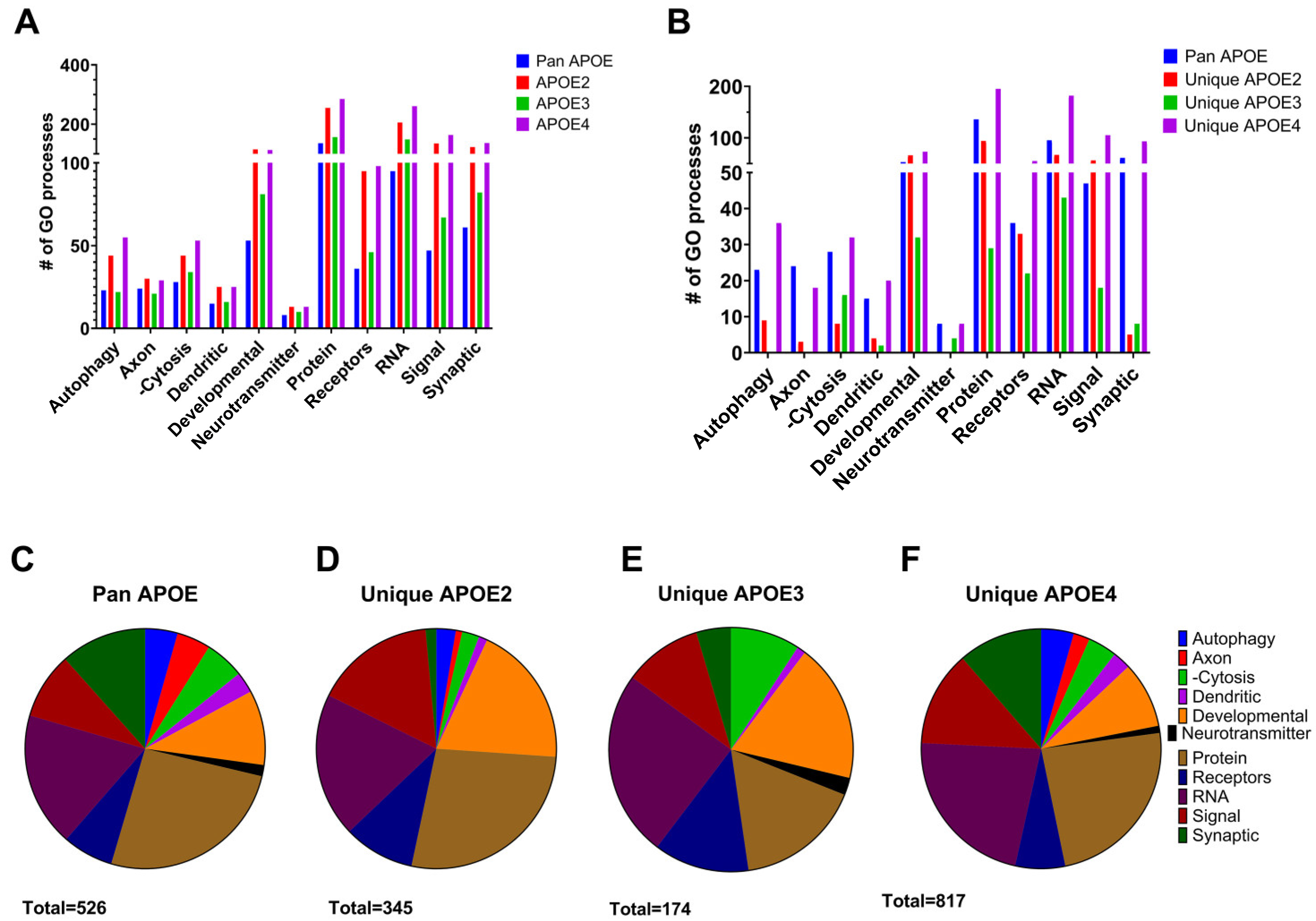 Brainsci 15 01117 g007 Brainsci 15 01117 g007