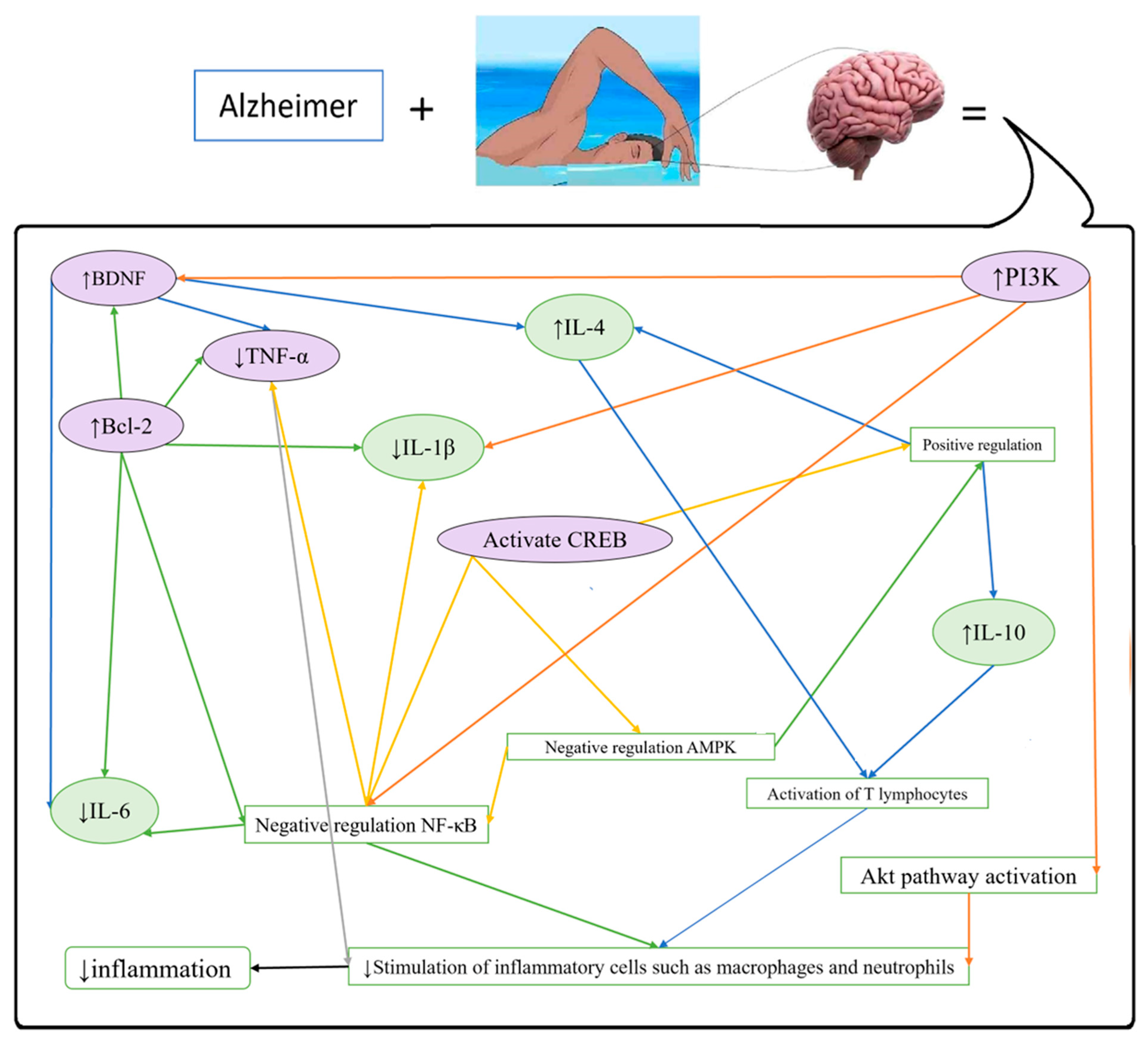 Brainsci 15 01121 g001