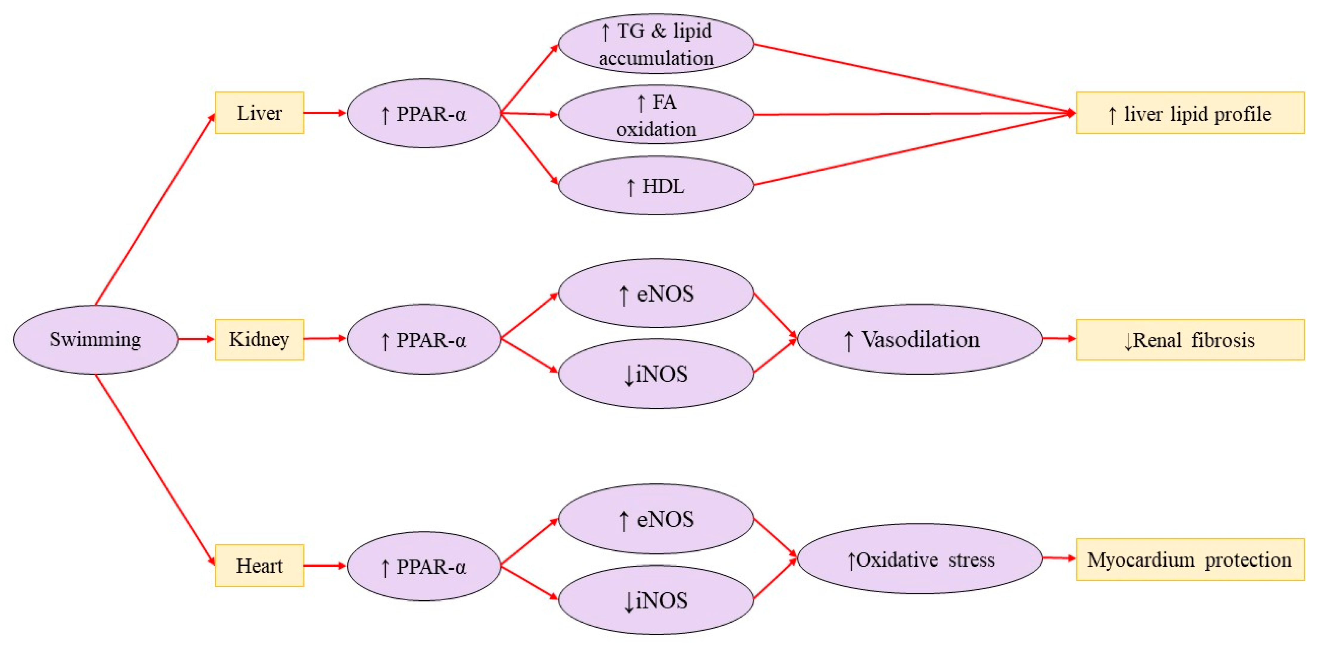 Brainsci 15 01121 g002